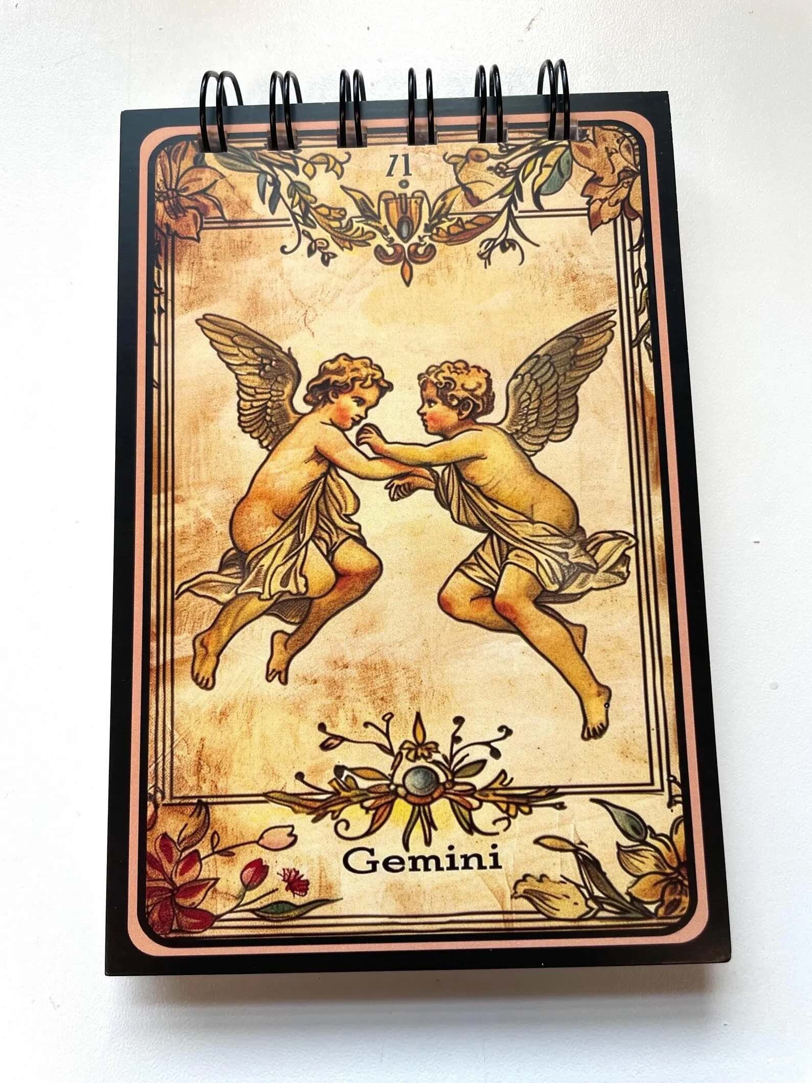 gemini notebook.jpeg