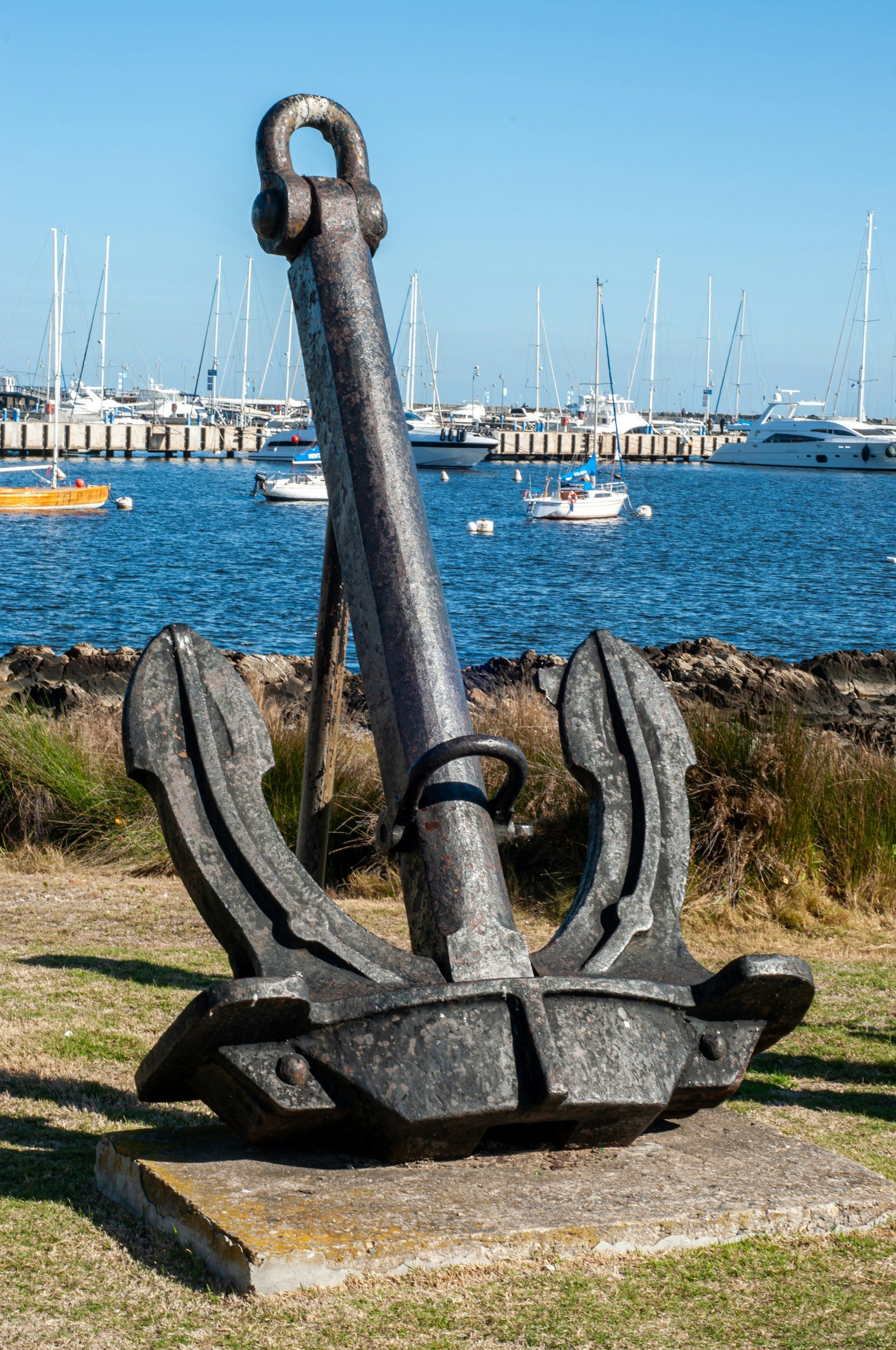 Anchored in Hope