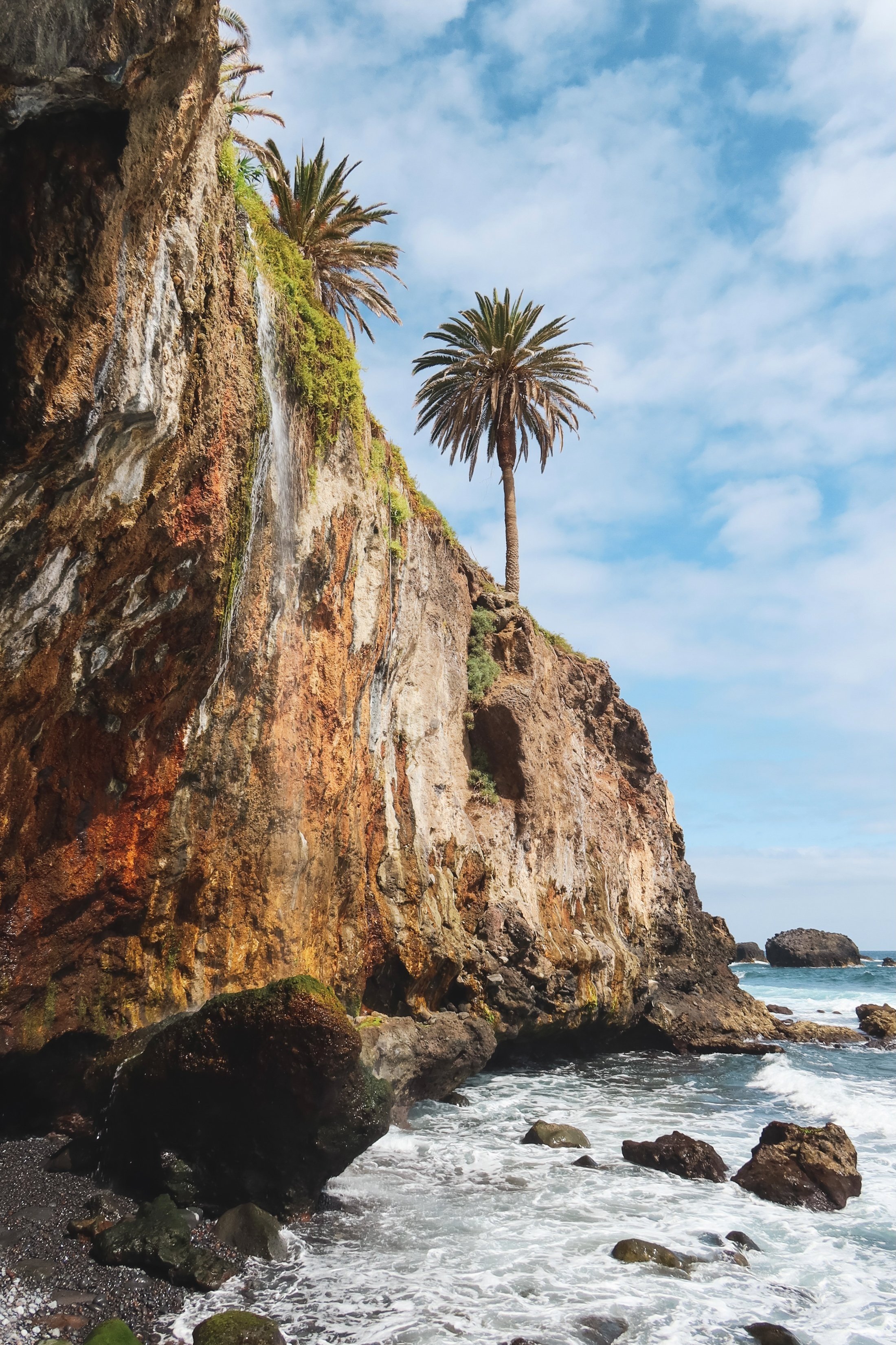 cliff-with-a-small-waterfall-and-palm-trees-tener-2024-10-14-22-11-31-utc.jpg