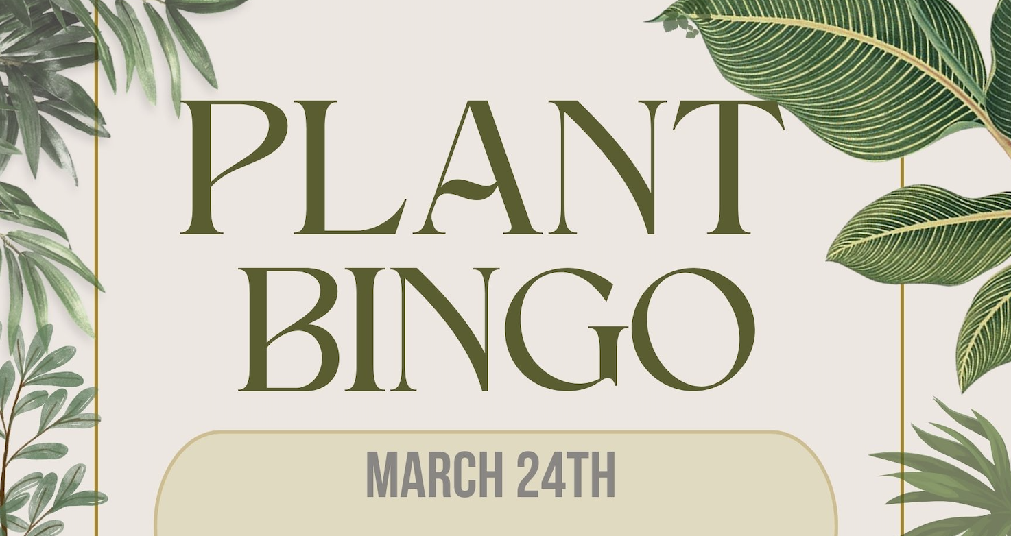 PLANT BINGO