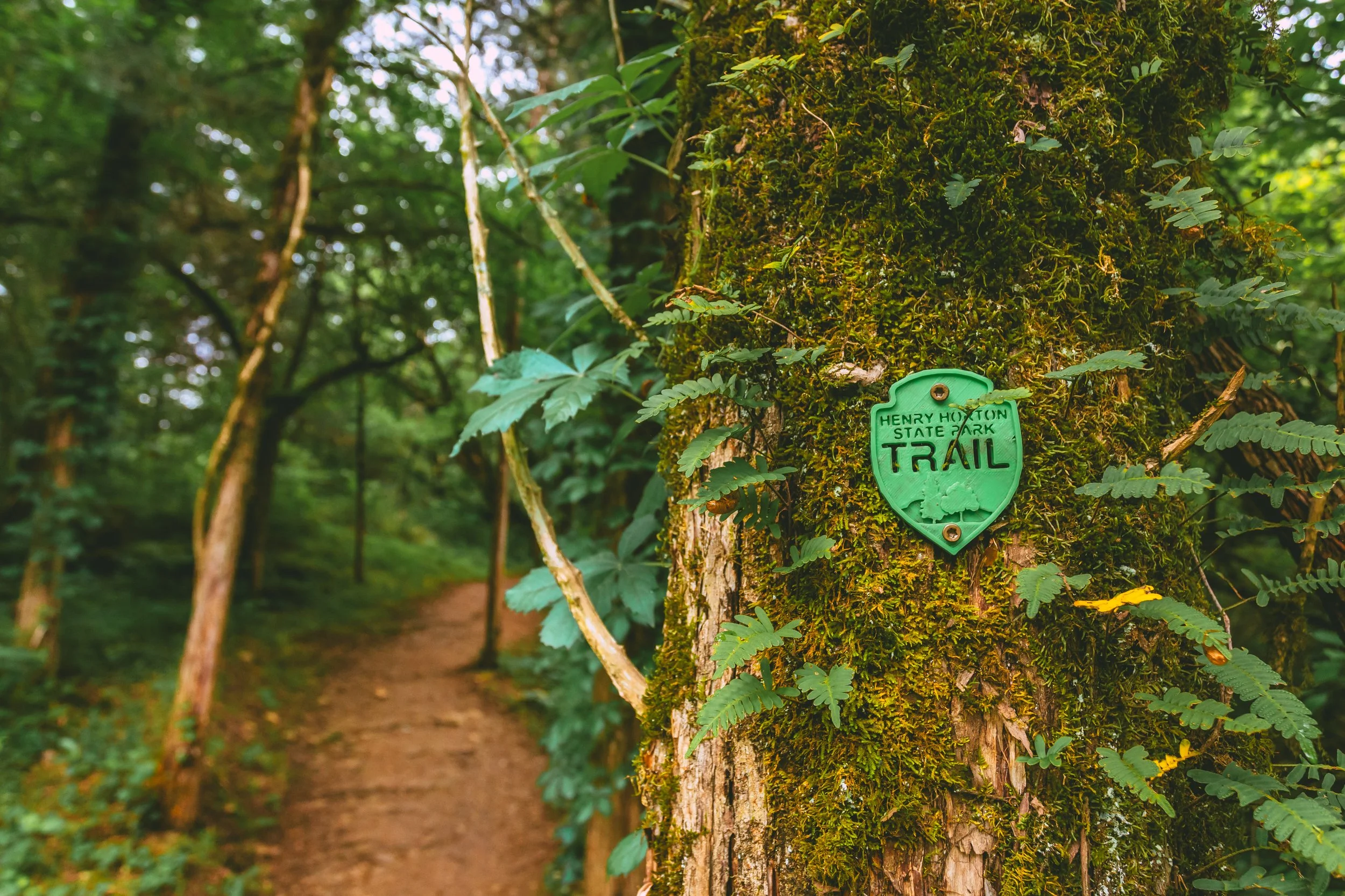 A narrow dirt trail winding through a green forest with lush foliage and moss-covered trees, marked by a Henry Houghton State Park Trail sign on a tree trunk.