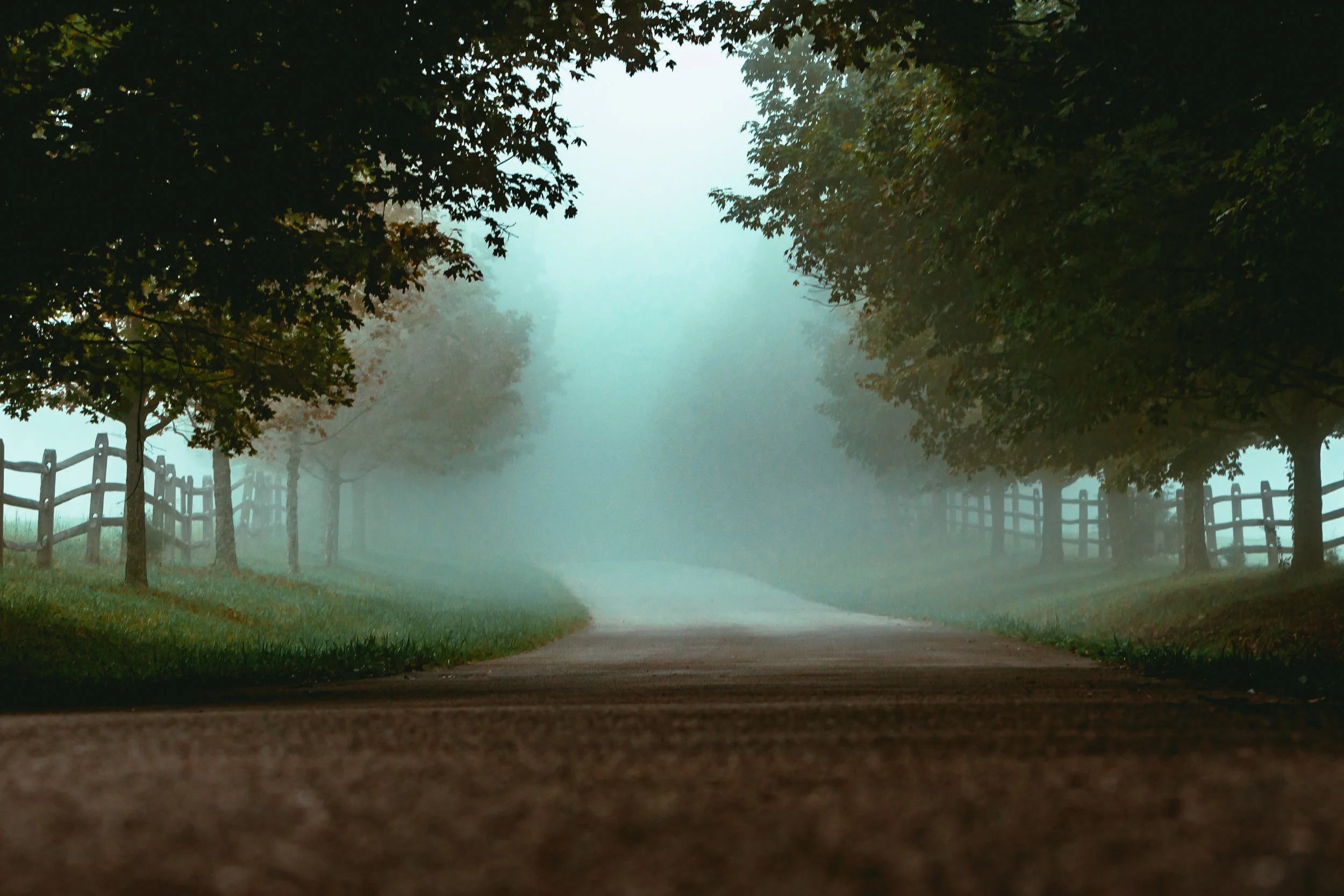 A foggy country road with trees and a wooden fence on both sides, disappearing into the mist.