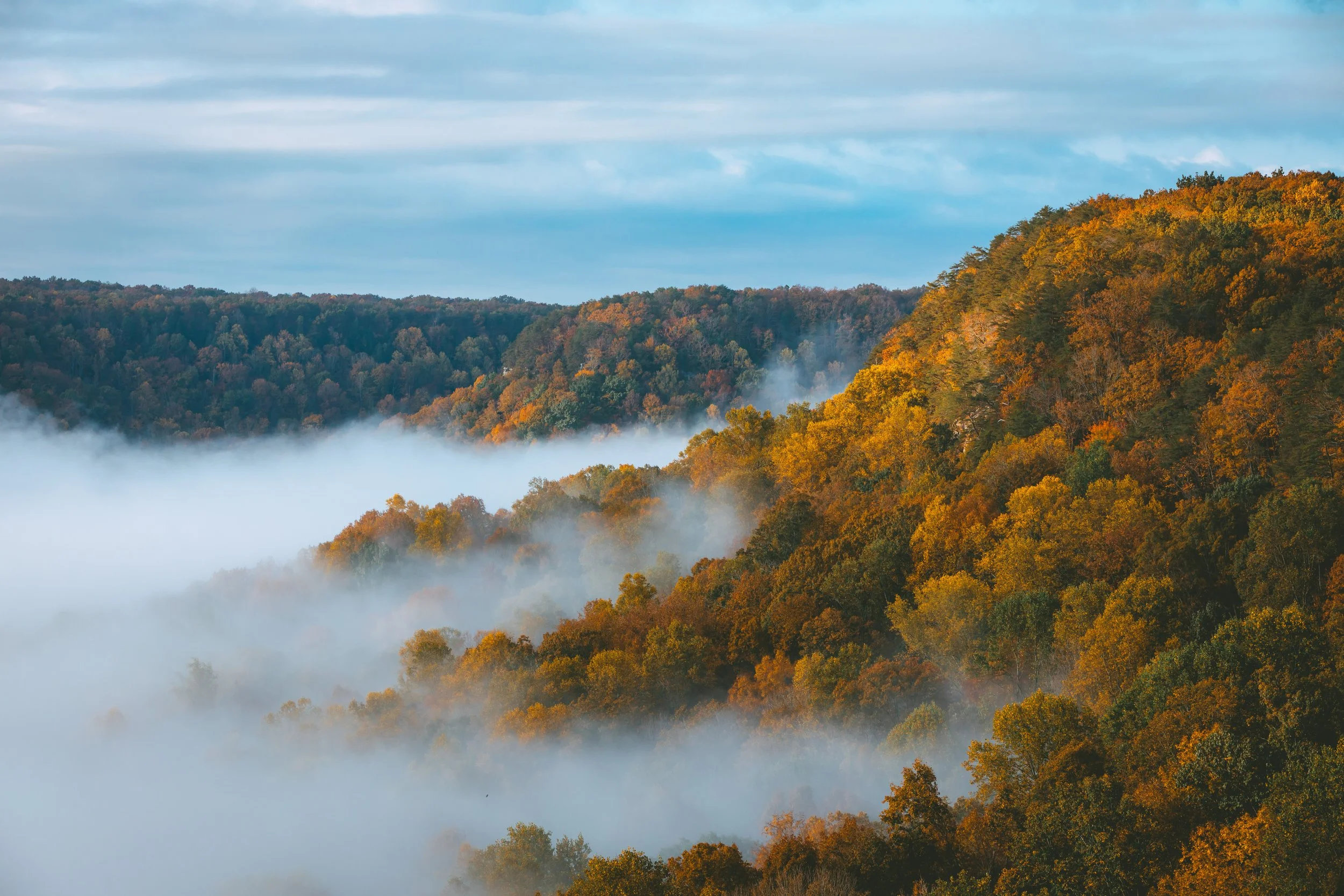 Big Creek Gulf in Savage Gulf State Park, blanketed in fog in the Fall.