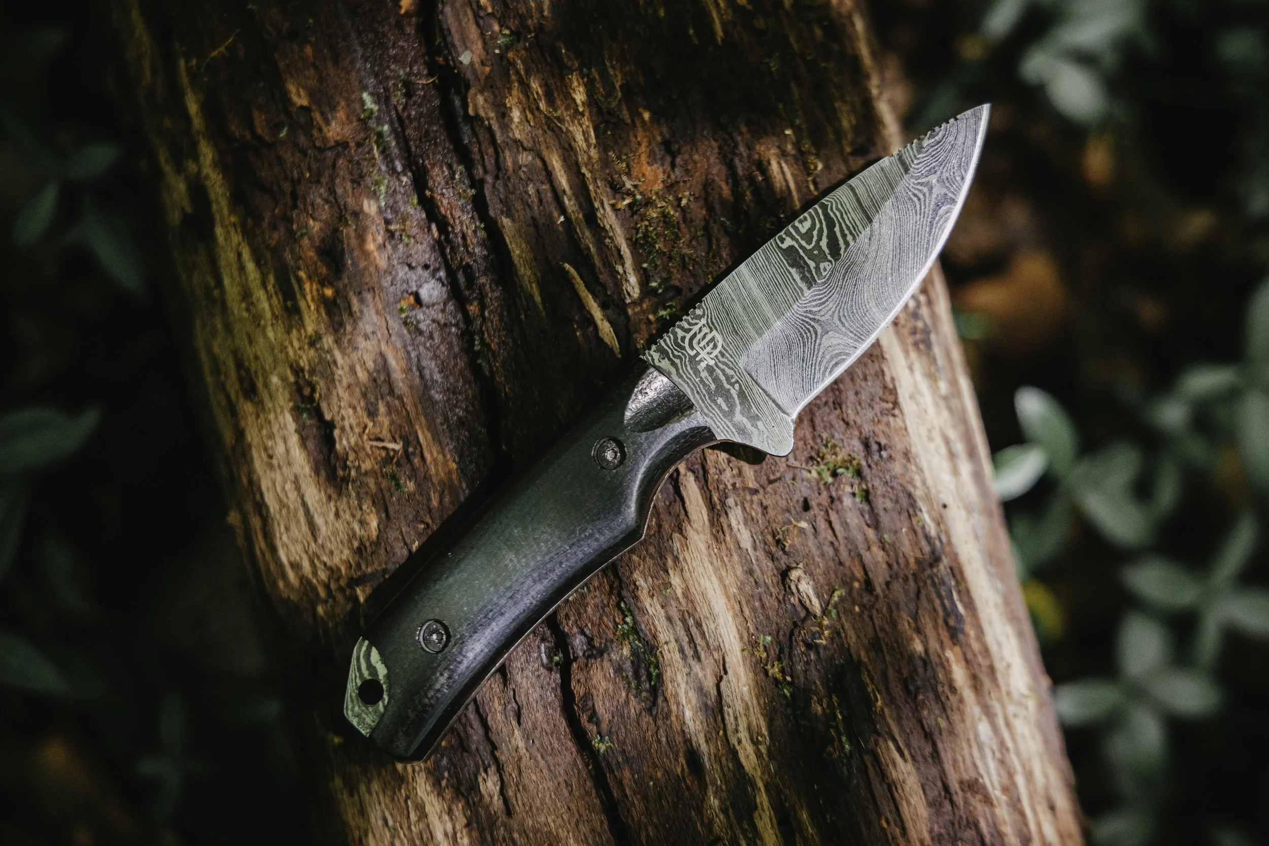 A folding knife with a Damascus steel blade and a black handle resting on a tree trunk in a forest.