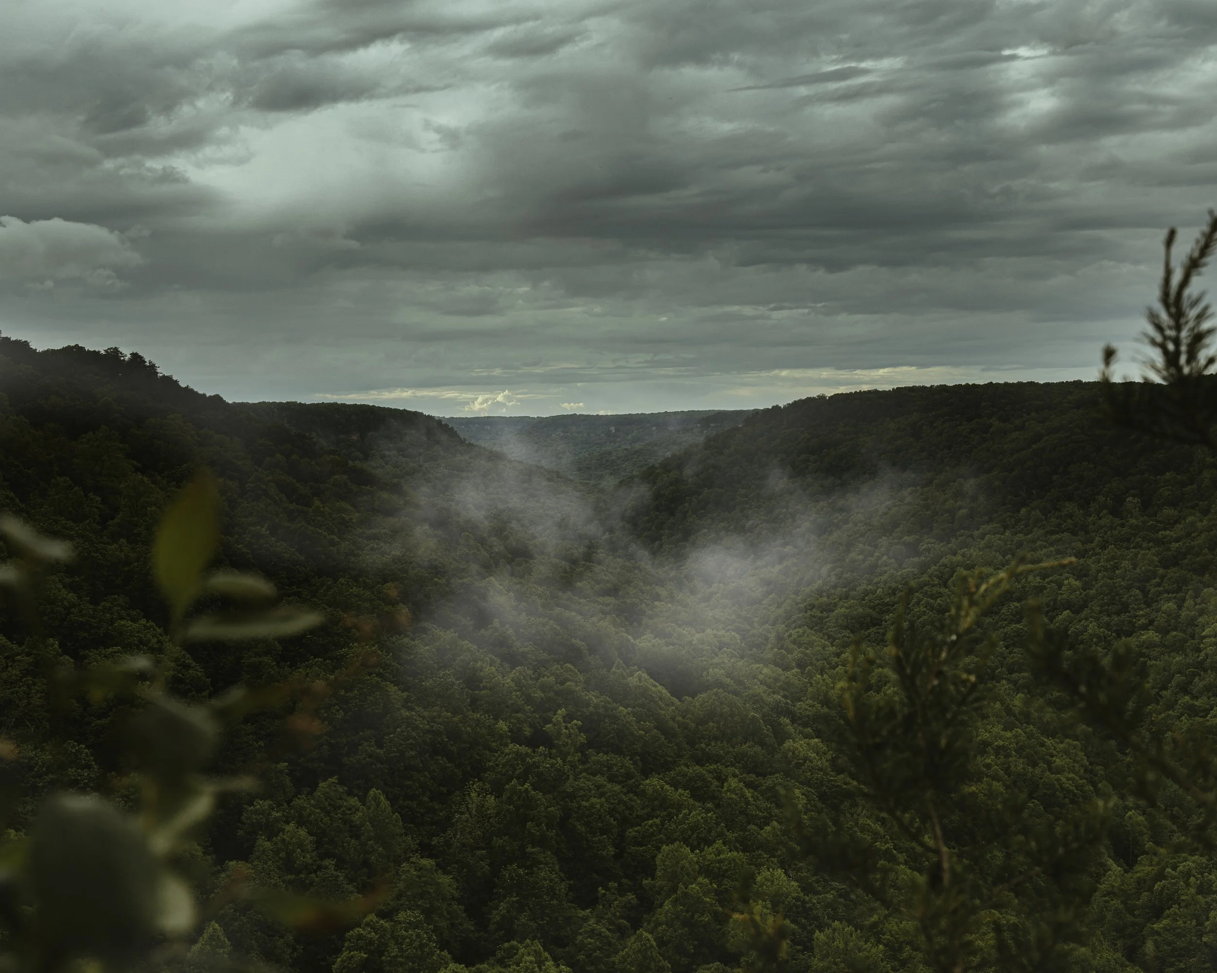 A view of a wide valley with lush green forests on mountain slopes under a cloudy sky, with mist rising from the valley.