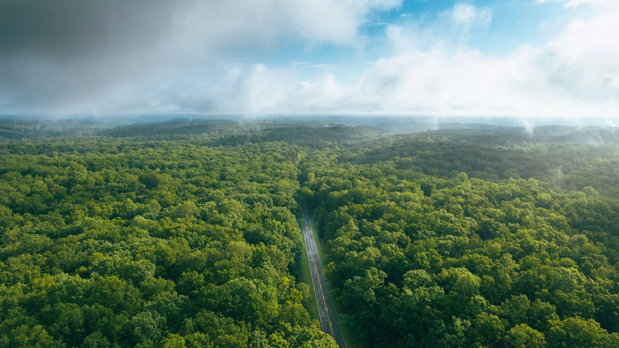 Aerial view of a lush green forest with a narrow road running through the trees, under a partly cloudy sky.
