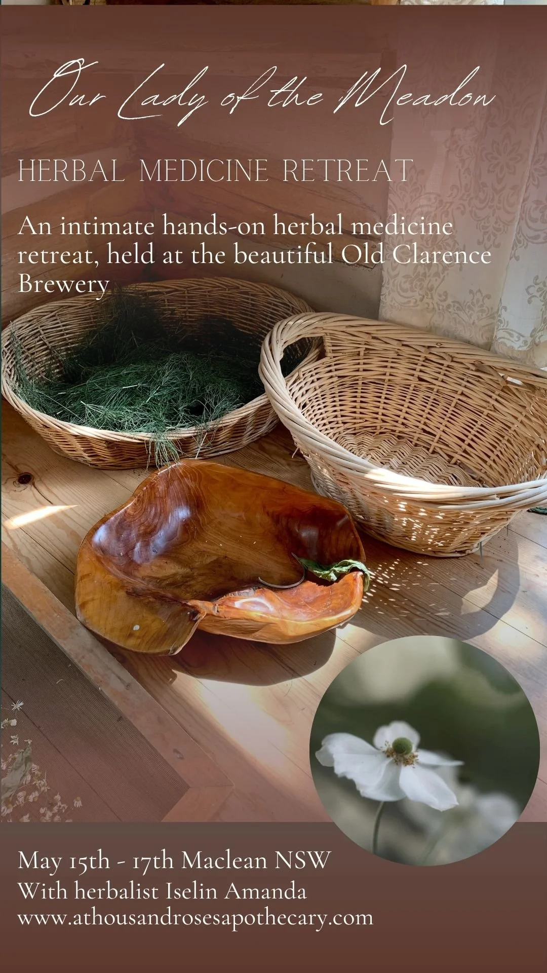 ‘Our Lady of The Meadow’ Herbal Medicine Retreat