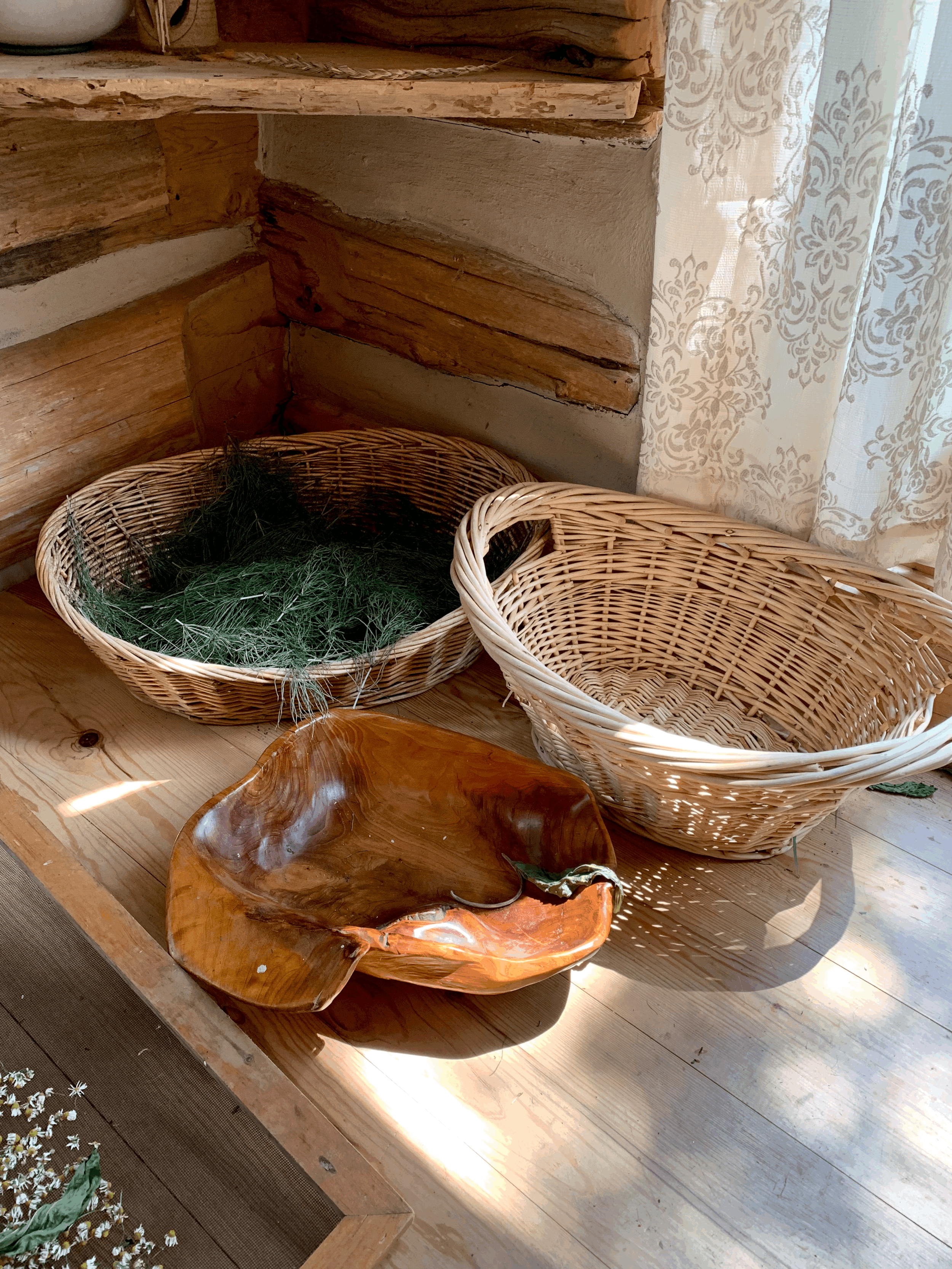 ‘Our Lady of The Meadow’ Herbal Medicine Retreat