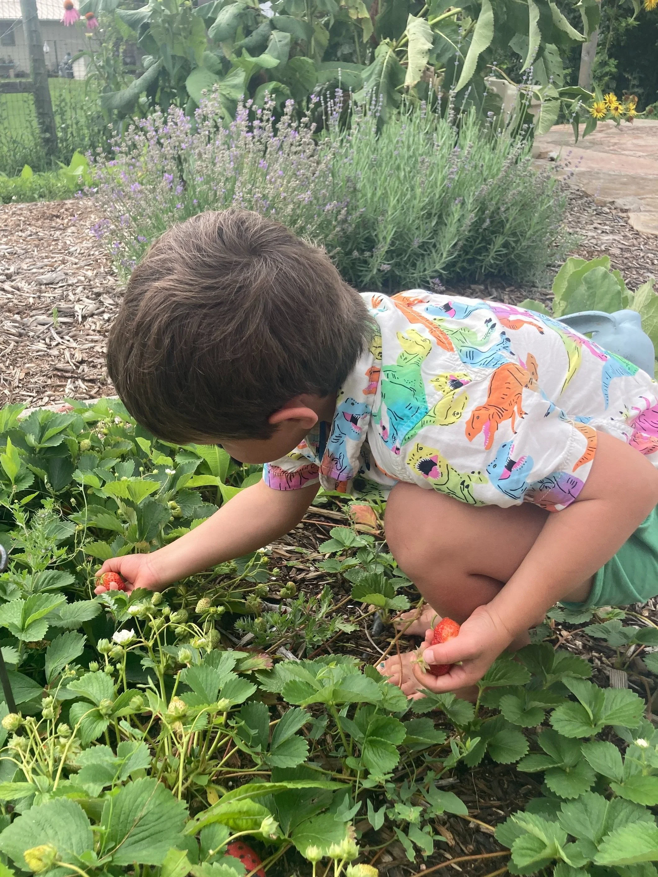 GArdening.jpg