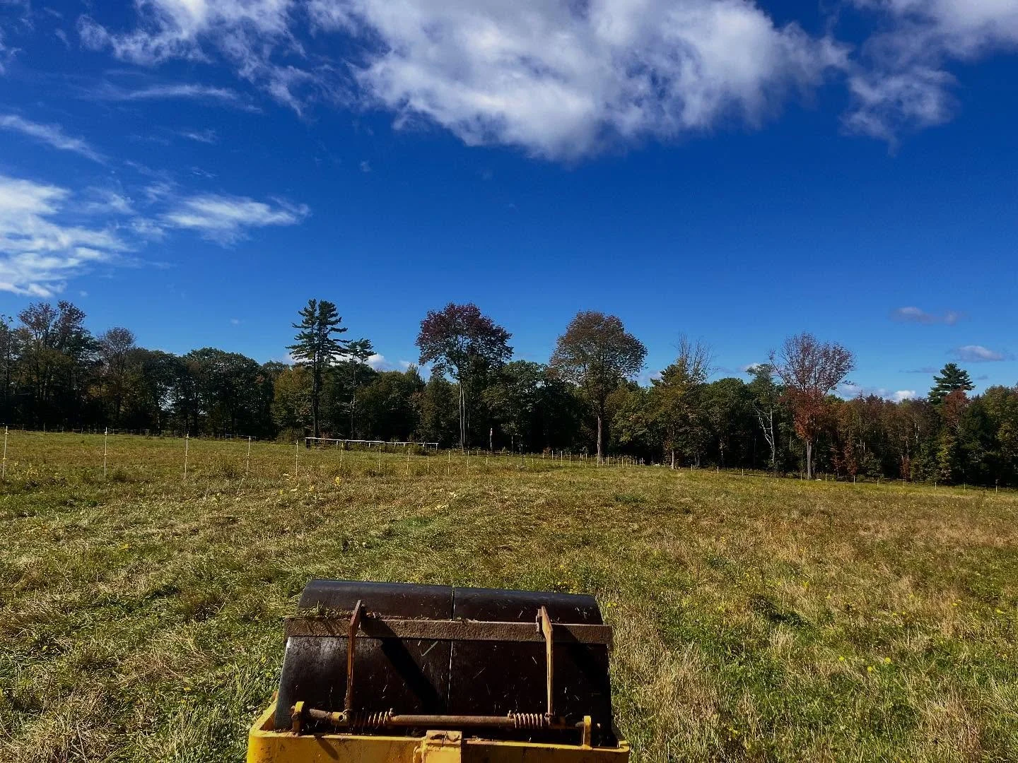 Rolling the pastures so that the horses can safely run, play and be horses 🐎 

What a beautiful September day!
