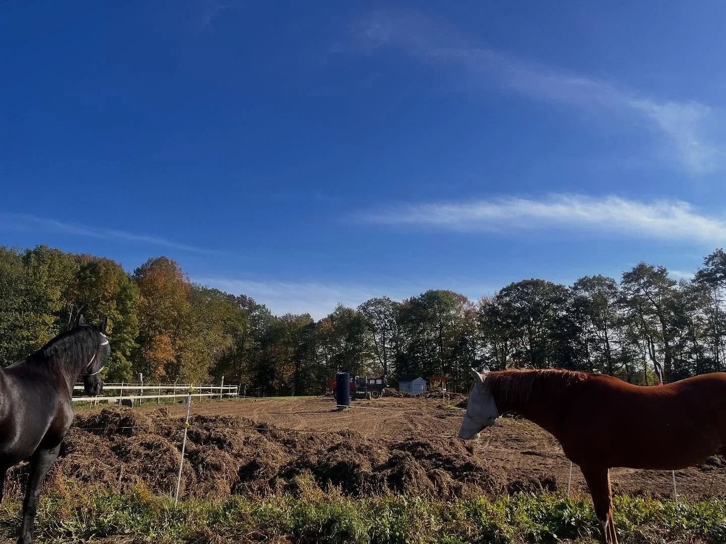 Sofie and Monica supervising @mossyrocklandscaping while he is working hard on our new dry lot. This is going to be a game changer next spring!

#drylot #horseboarding #horse #friesian #painthorse #mudseason