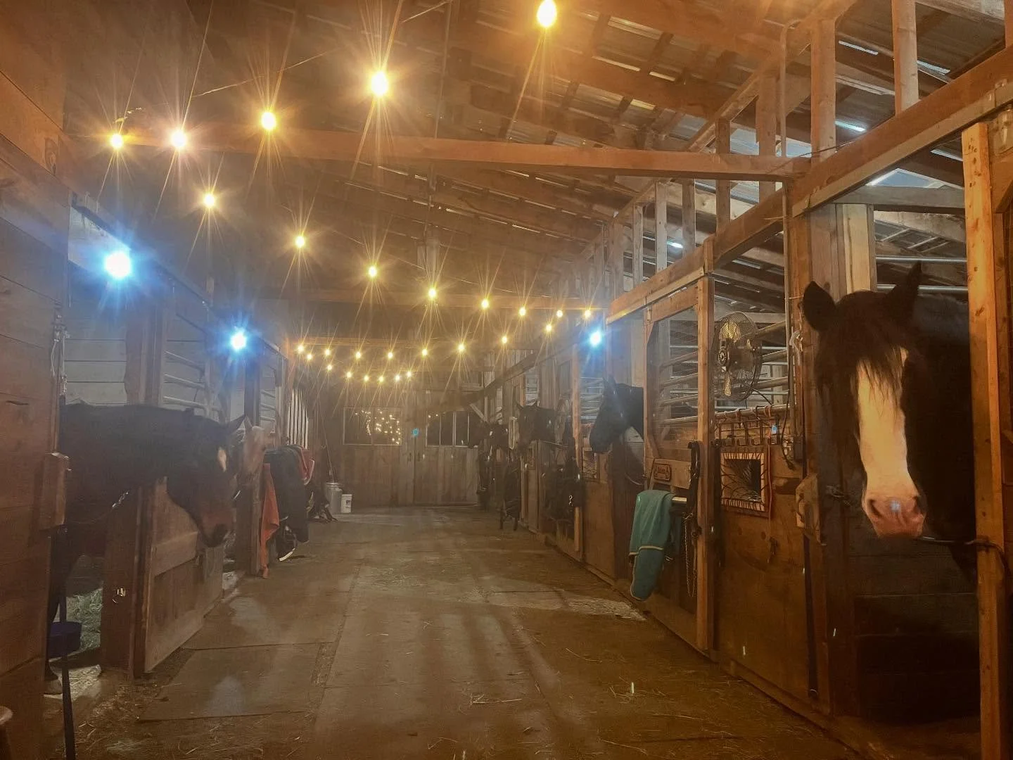 Happy Thanksgiving! I am thankful to have so many sweet faces to greet me everyday 💕 And I am so grateful for this amazing community we have built at Steadfast! I hope everyone had a wonderful day.