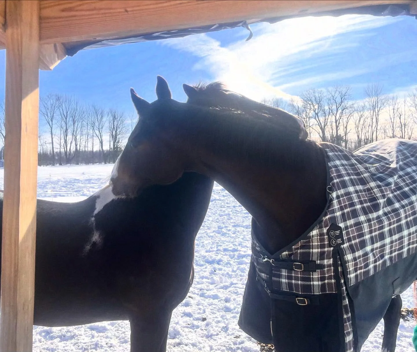 I&rsquo;ve been looking at the forecast for the next couple of weeks and it looks like after blankets and more blankets we will be having more blanket free days.