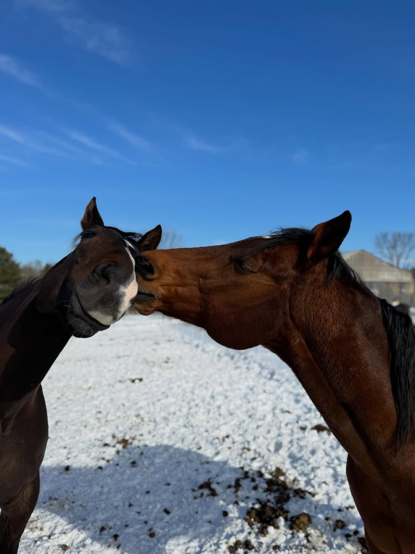 Happy Valentine&rsquo;s Day from these lover boys