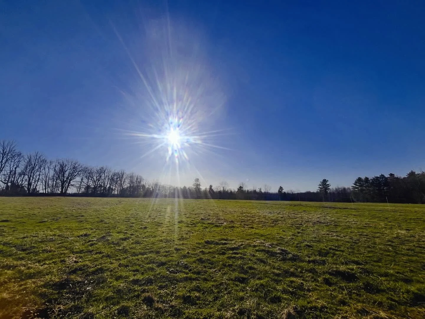 And just like that things are green again ✨