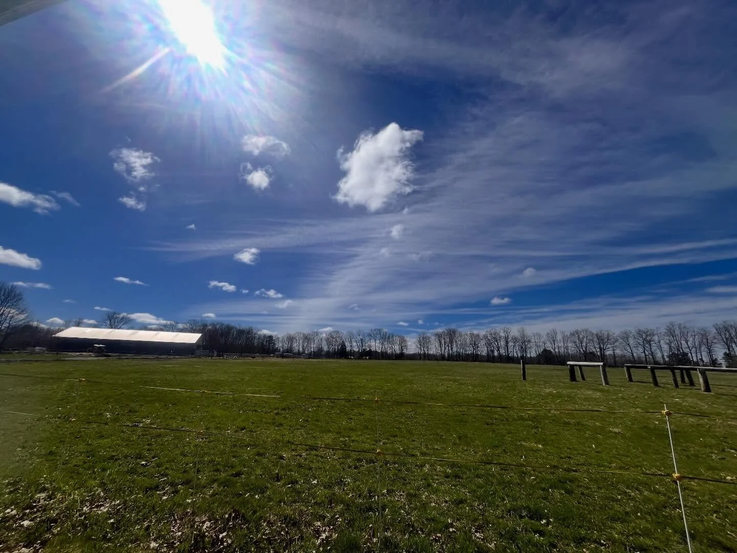 What a gorgeous day! 

It looks like our horses will be starting on grass a month earlier this year. BIG thanks to @mossyrocklandscaping for all the hard work done to improve the drainage all over the farm!