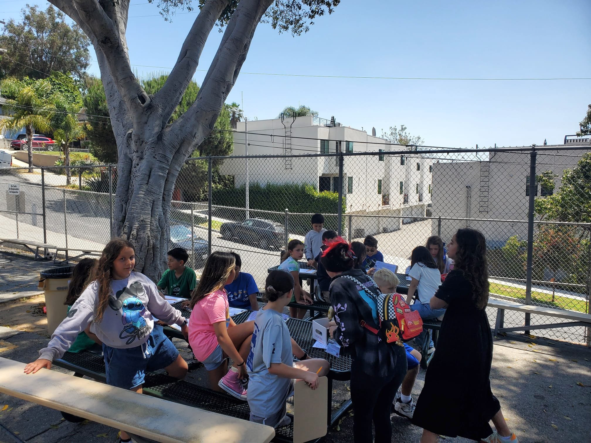 WhatsApp Image 2025-05-23 at 16.05.46.jpeg