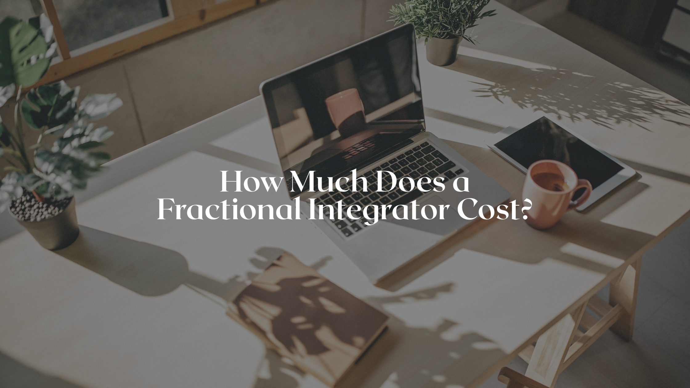 How Much Does a Fractional Integrator Cost?