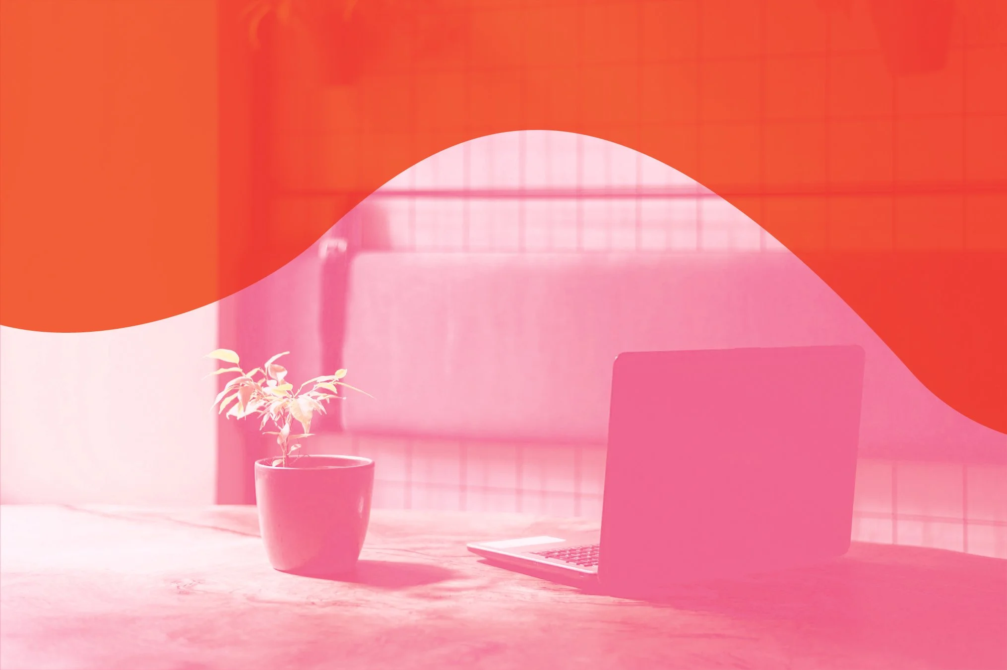 A pink ceramic pot with a leafy plant inside on a table, with a laptop and a window with blinds in the background.