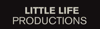 Little Life Presents