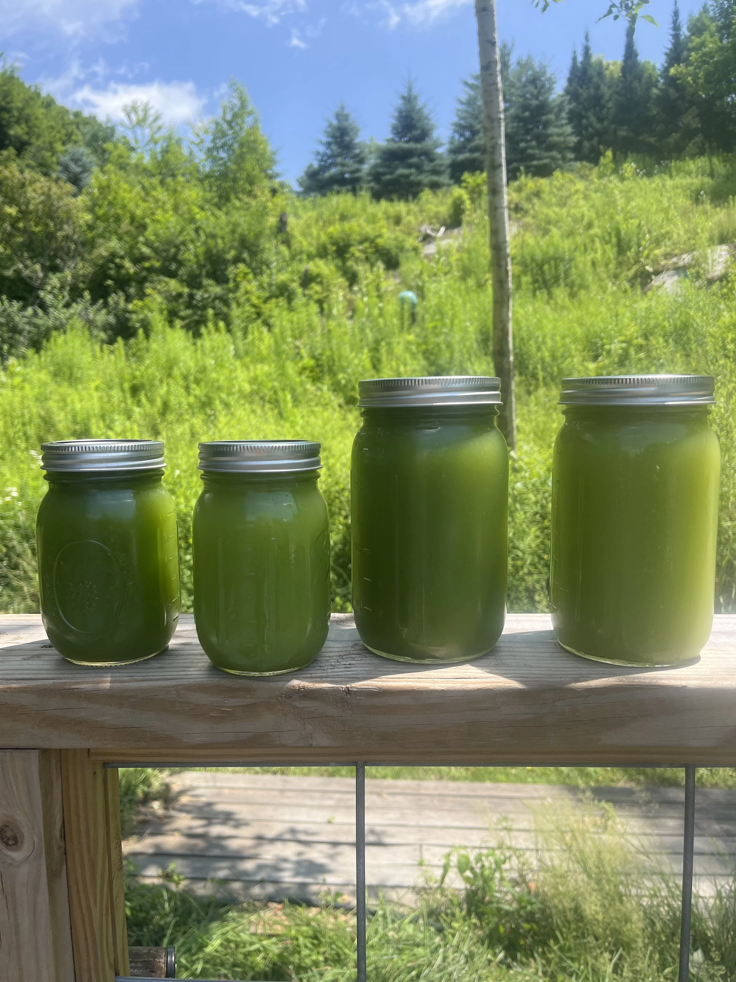 100% organic celery juice