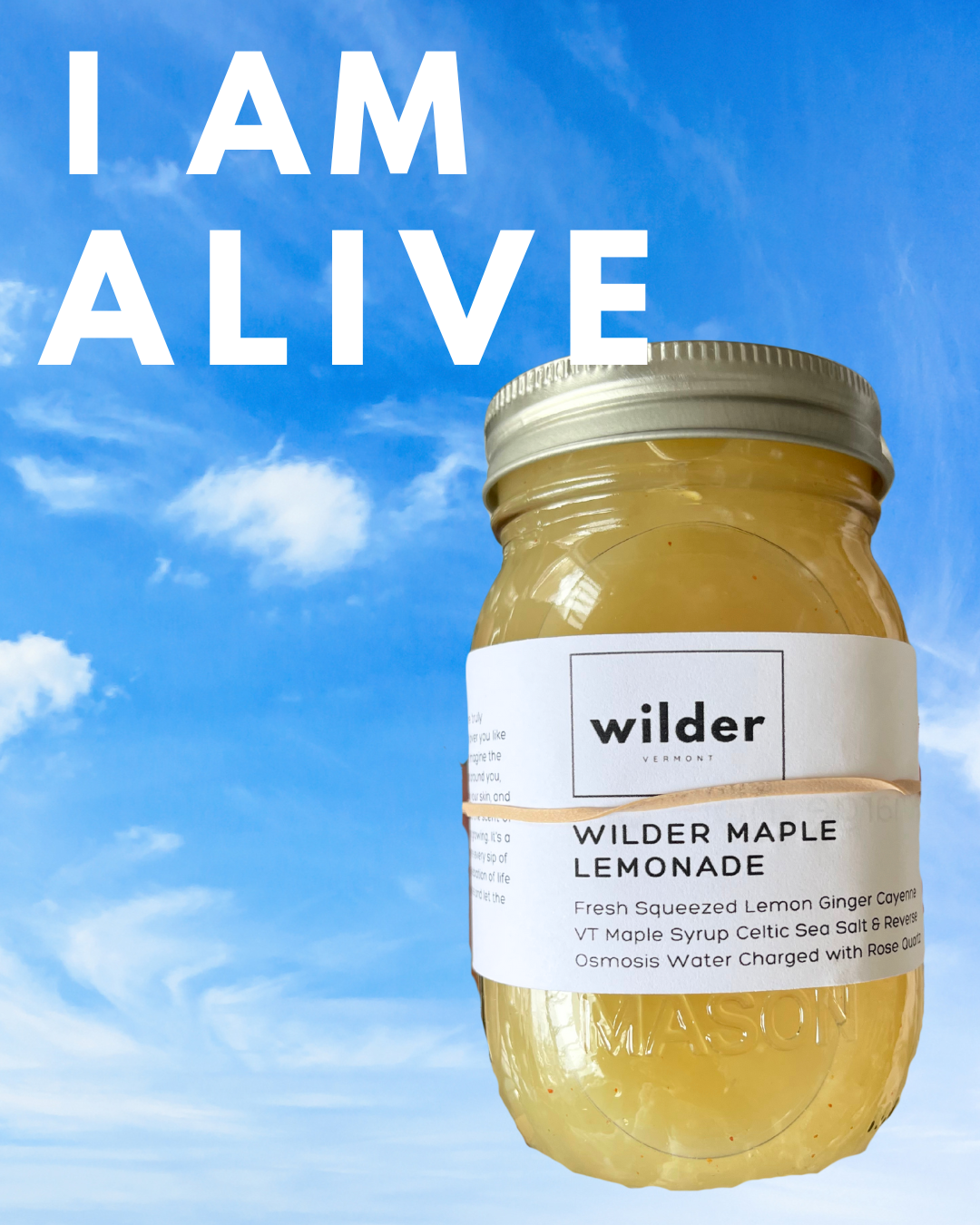 wilder lemonade_squarespace.png
