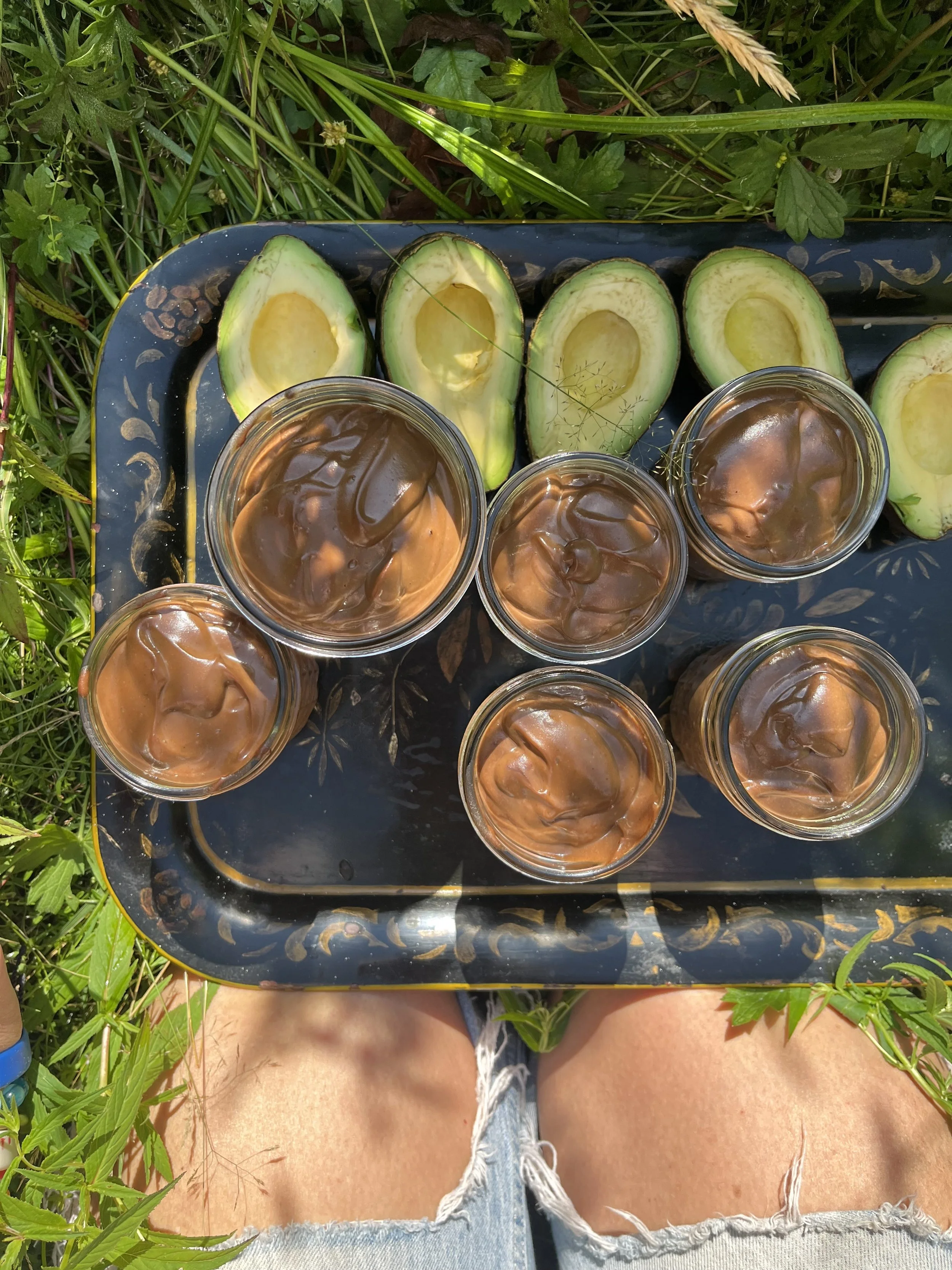 avocado chocolate pudding