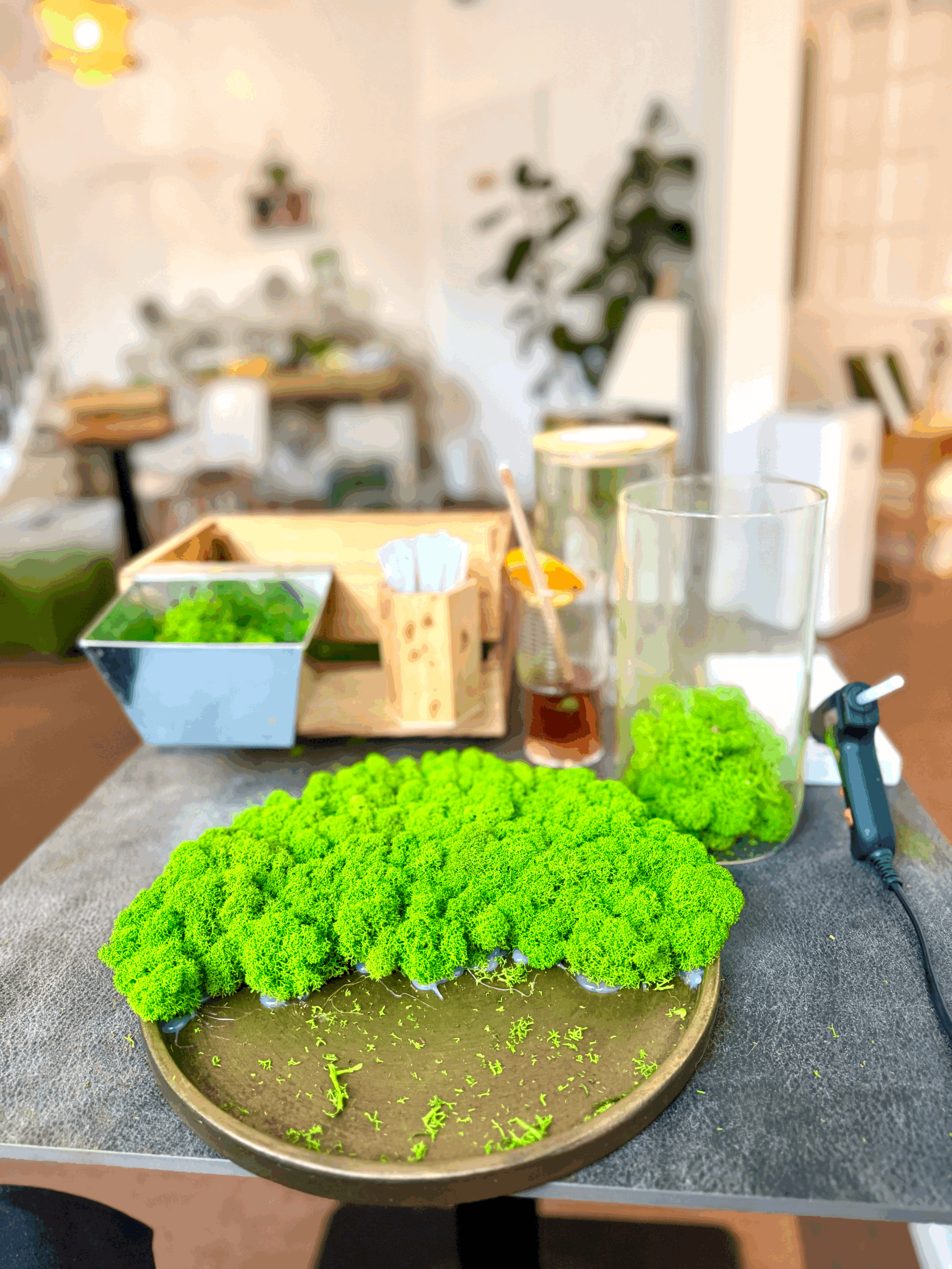 Moos it yourself Workshop