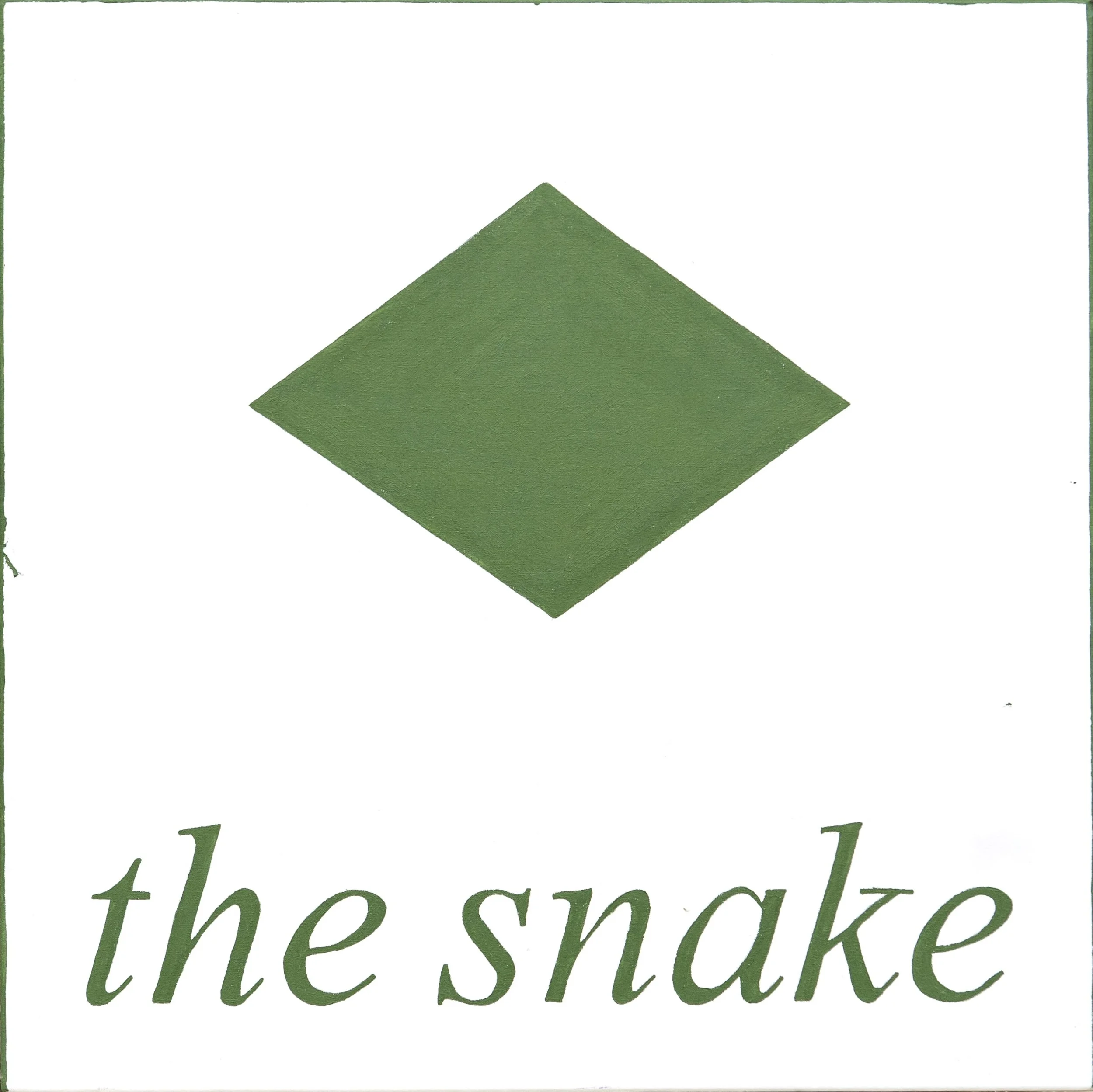 the snake  - acrylic on canvas (60x60 cm)