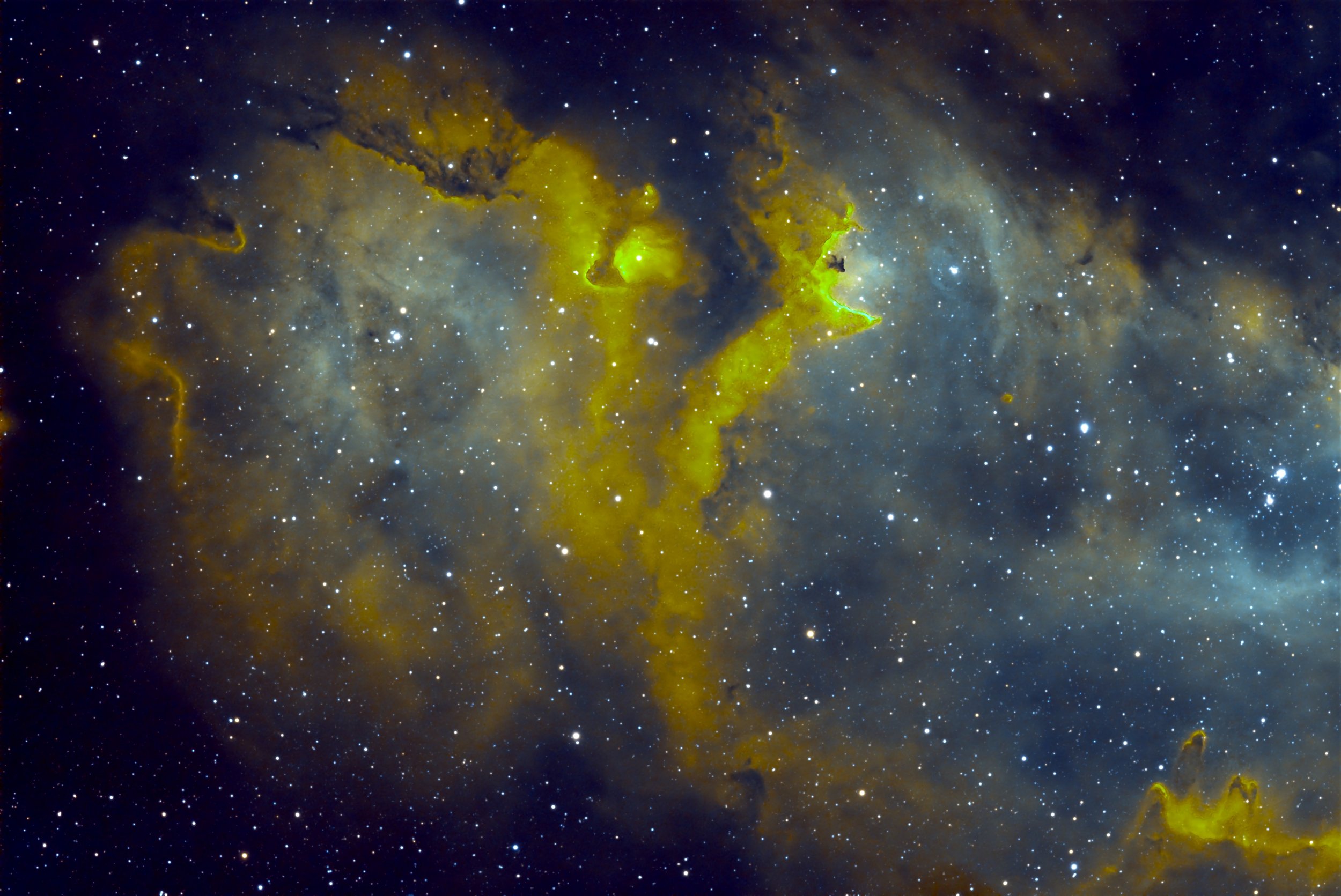 IC1848_final copy.jpeg