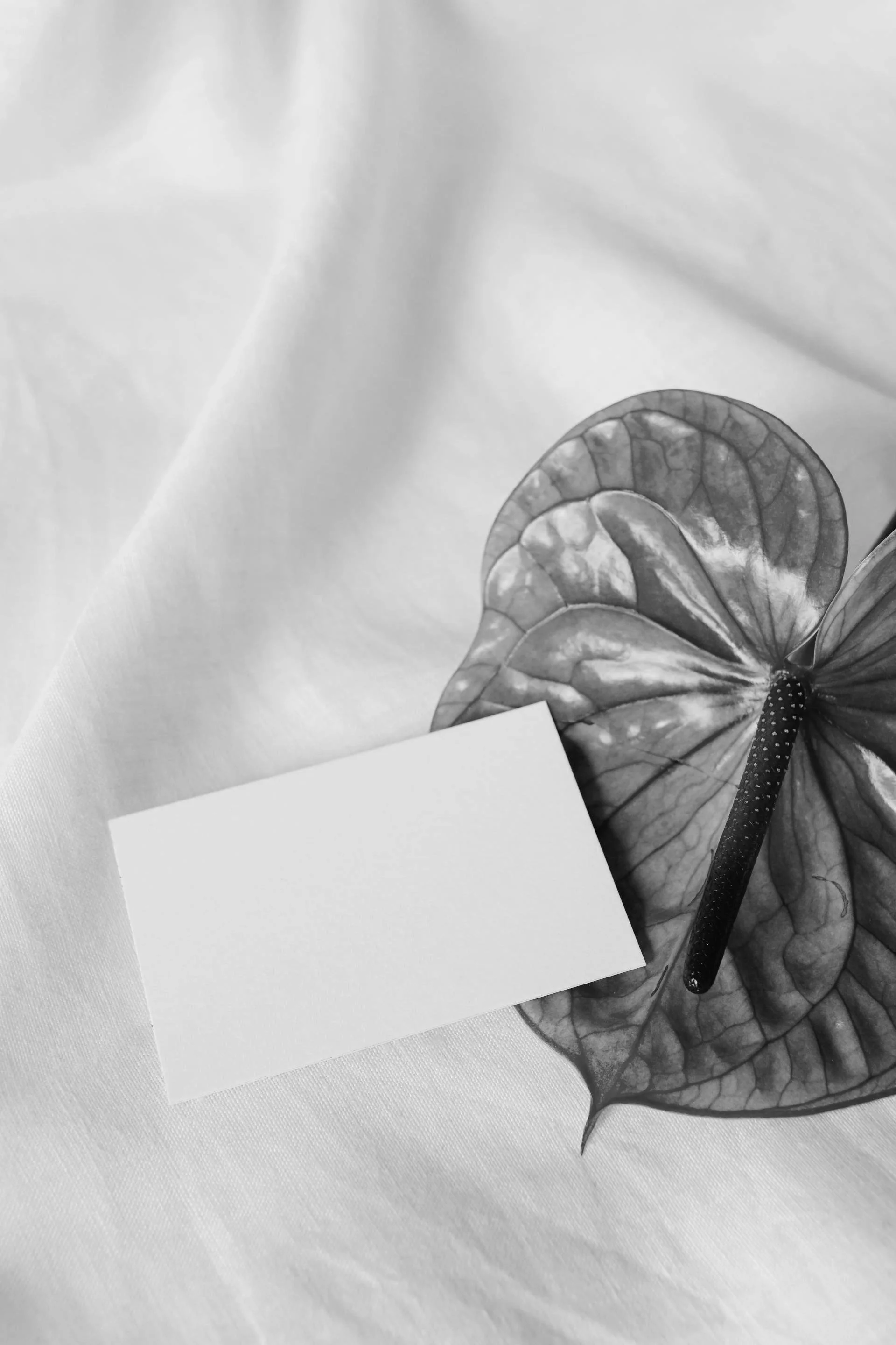 Ein  Blume mit einem weißen Gutschein-Umschlag