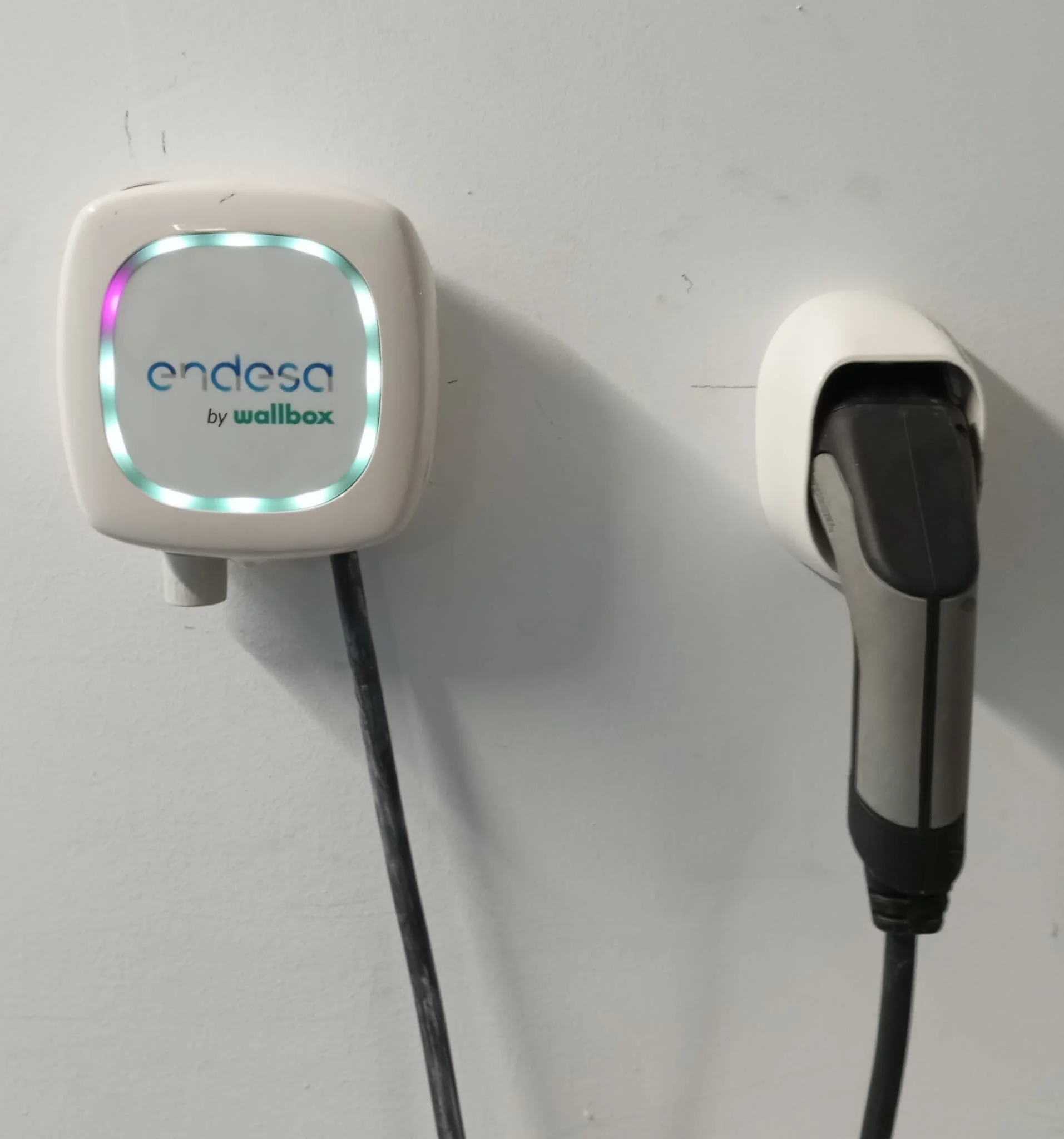 WhatsApp Image 2024-11-24 at 09.00.57.jpeg