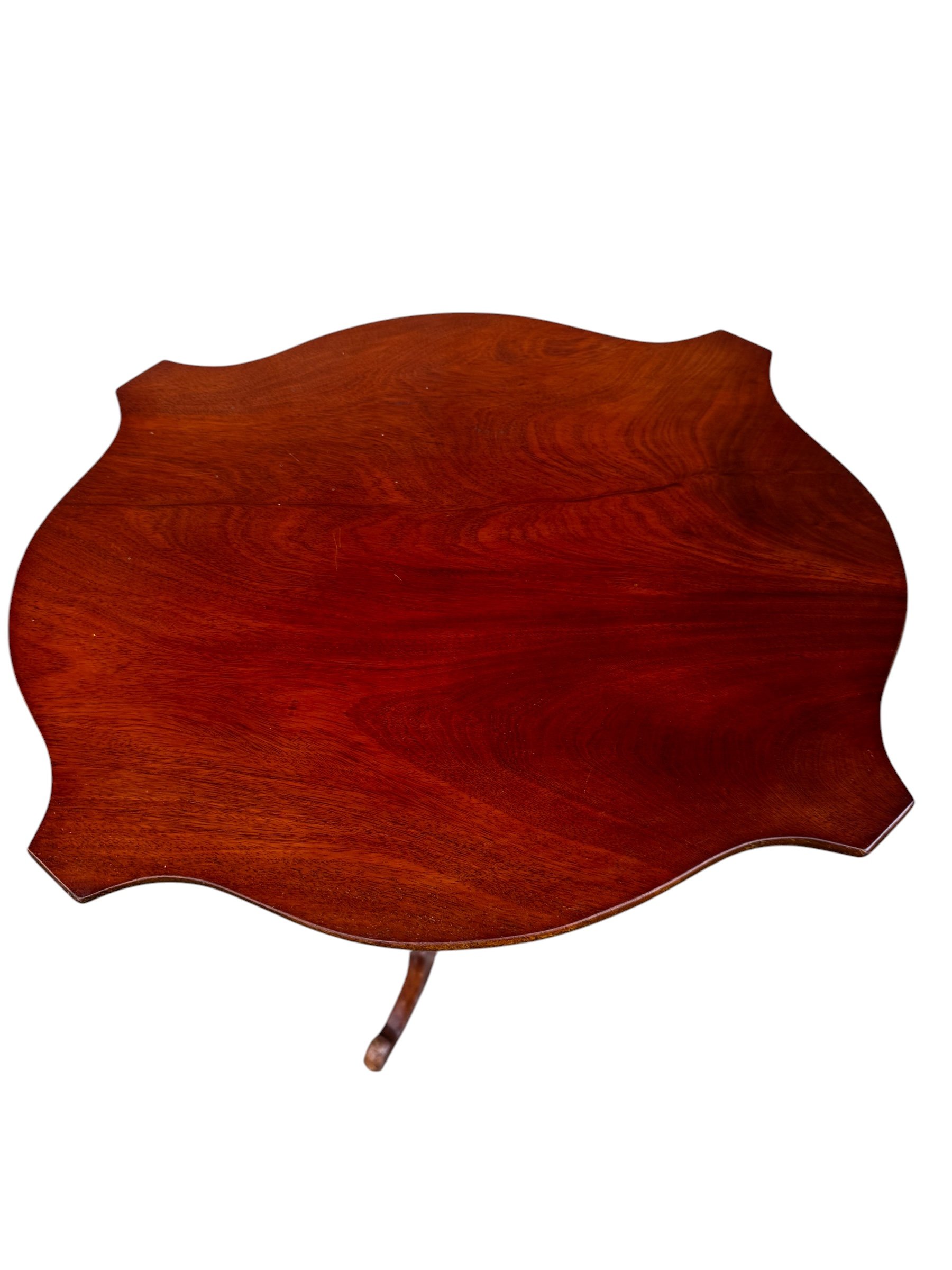 Photoroom_20261005_162322.jpeg