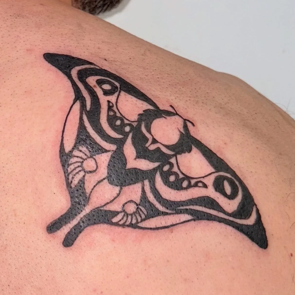 My first victim, willingly giving his skin to be tattooed by me. 🦋
הקורבן הראשון שלי, הסכים לתת לי  את עורו ולהיות הראשון להתקעקע על ידי.