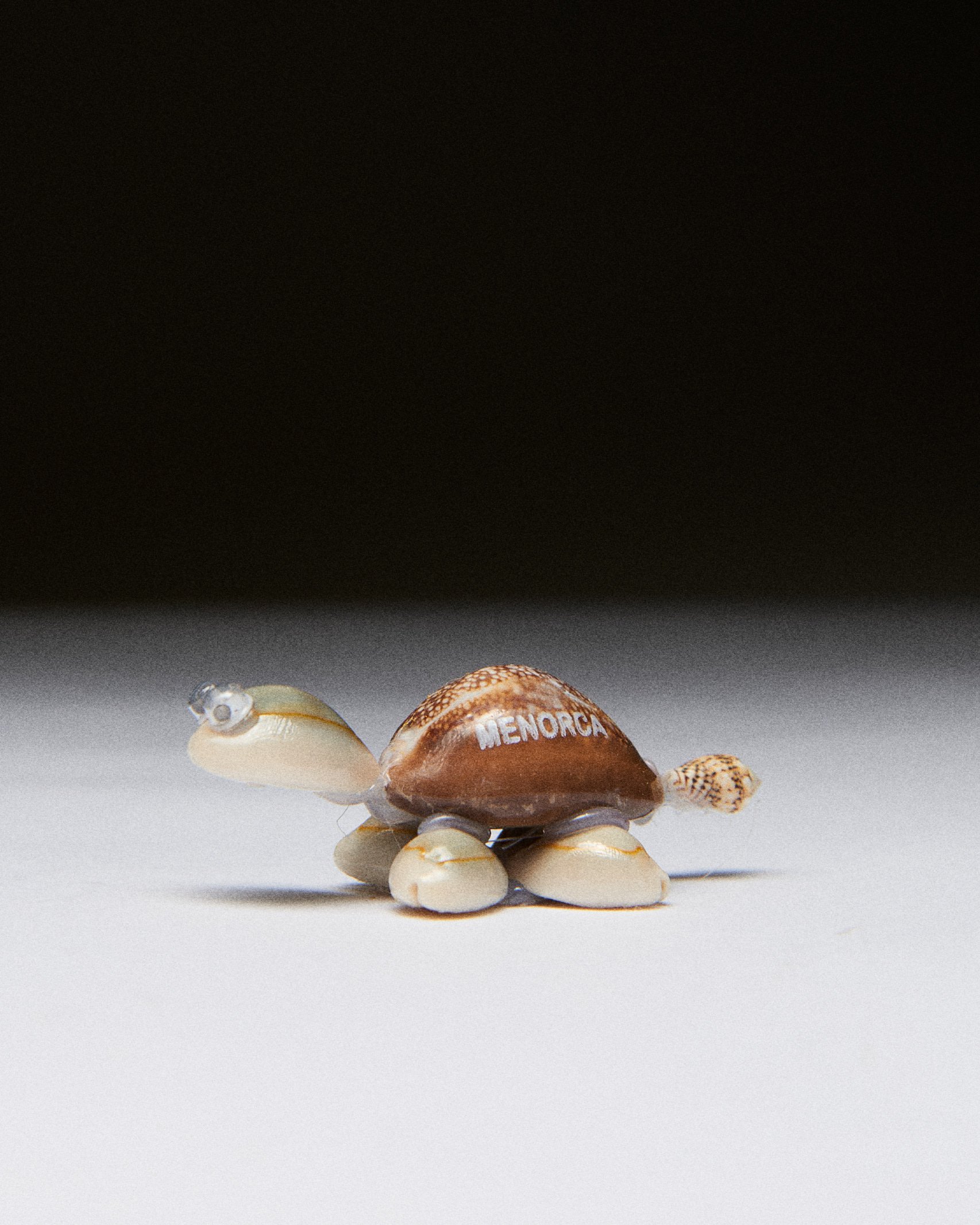 2026_01_14_STILL_LIFE_094.jpg