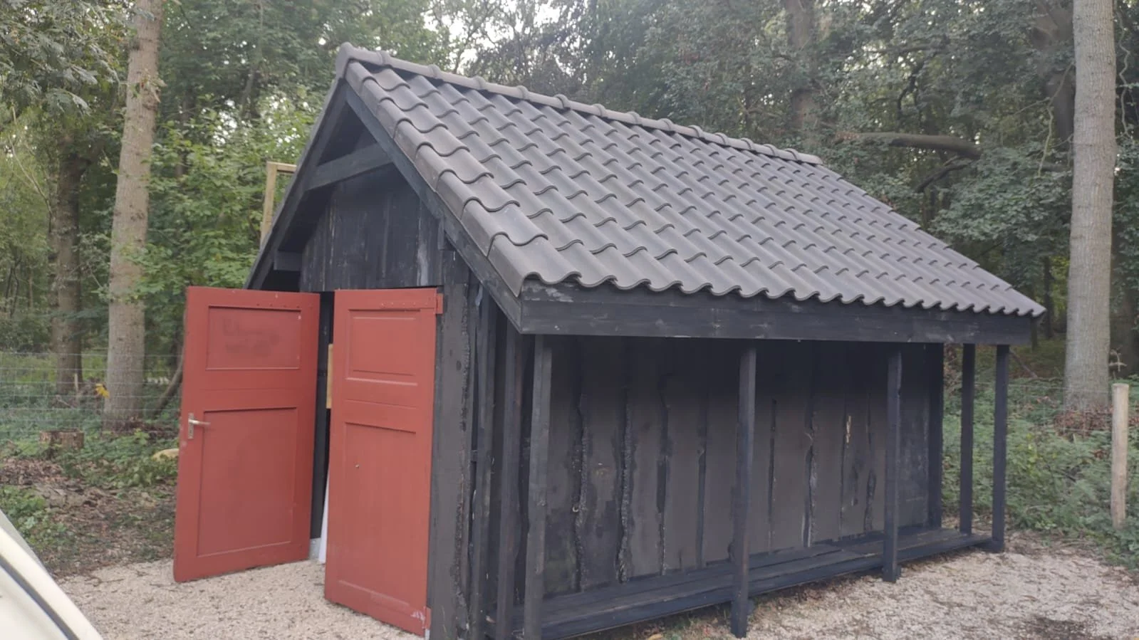 PHOTO-2024-11-17-16-29-26 (27).jpg