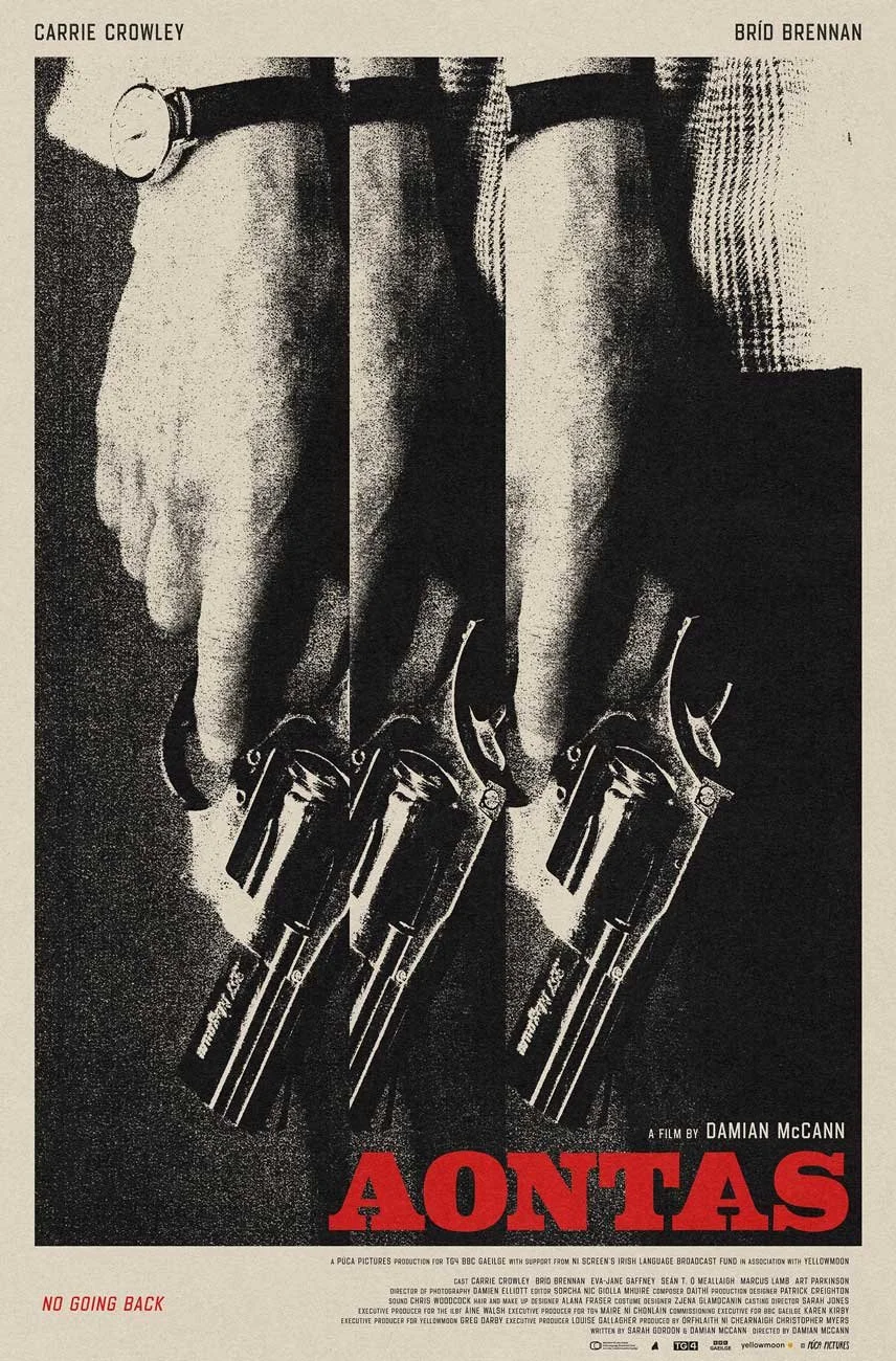 Aontas-GUN-POSTER-FINAL-WEB-RES_pg_web.jpg