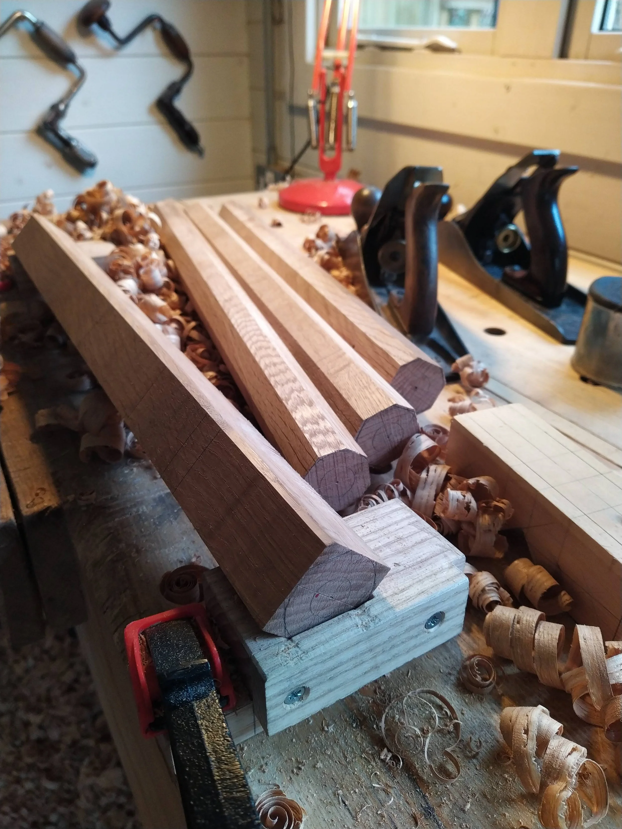 IMG_20220330_084431 (1).jpg