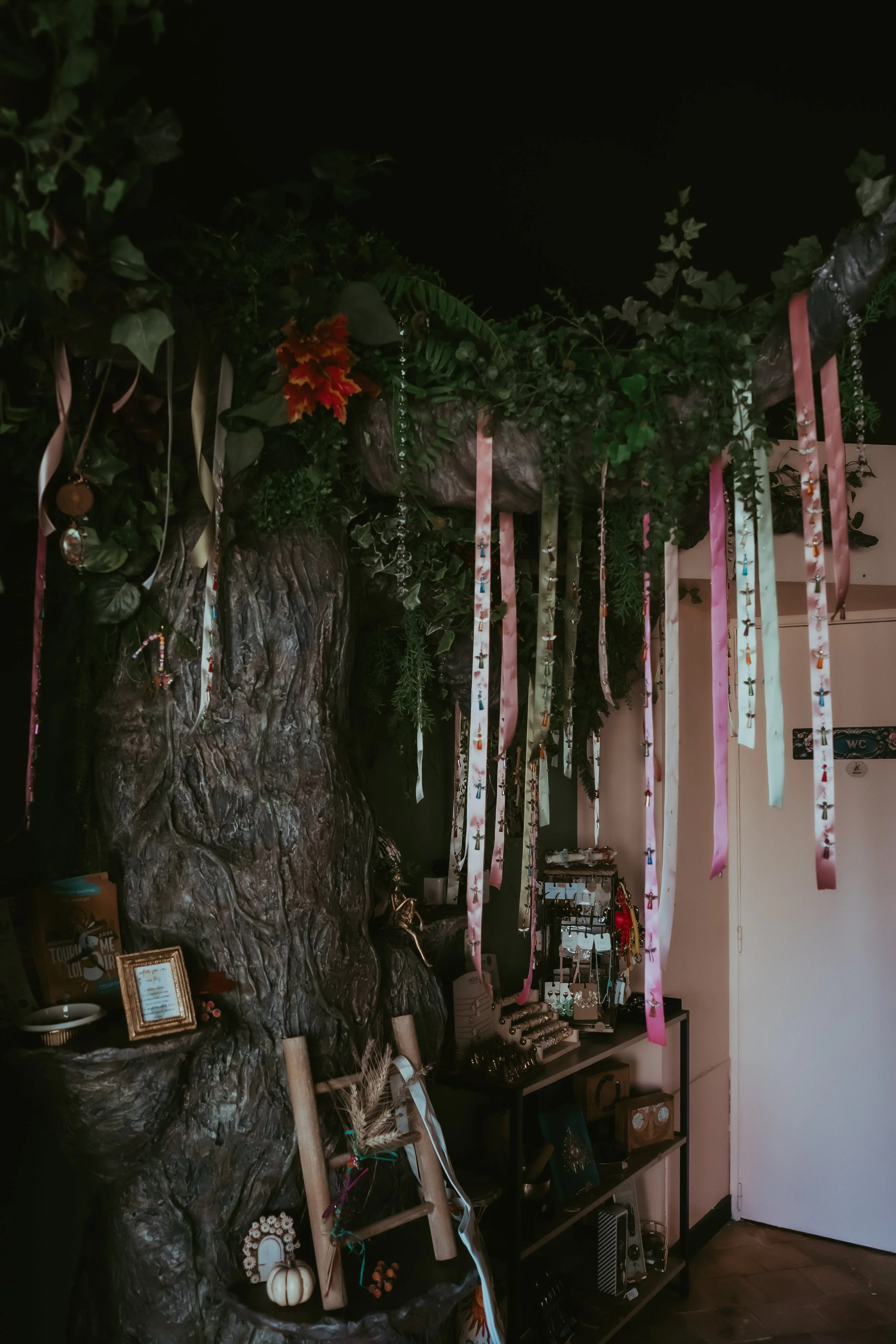 Photographe pour professionnels Le Mans 