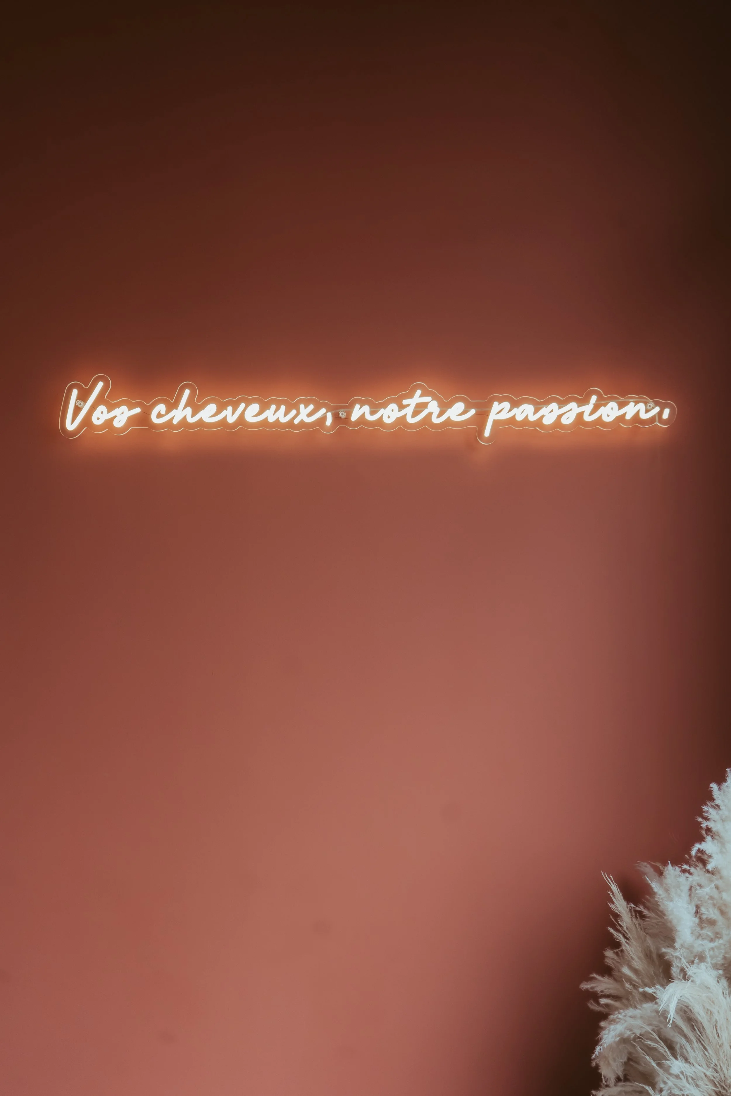 Photographe pour professionnels Le Mans