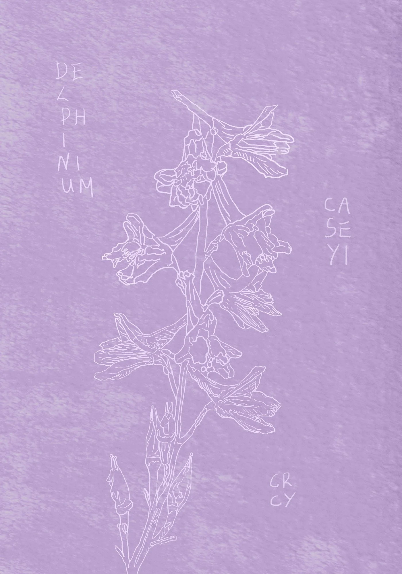 Magnus Tempus Elena Adamou_ Delphinium Caseyi.jpg