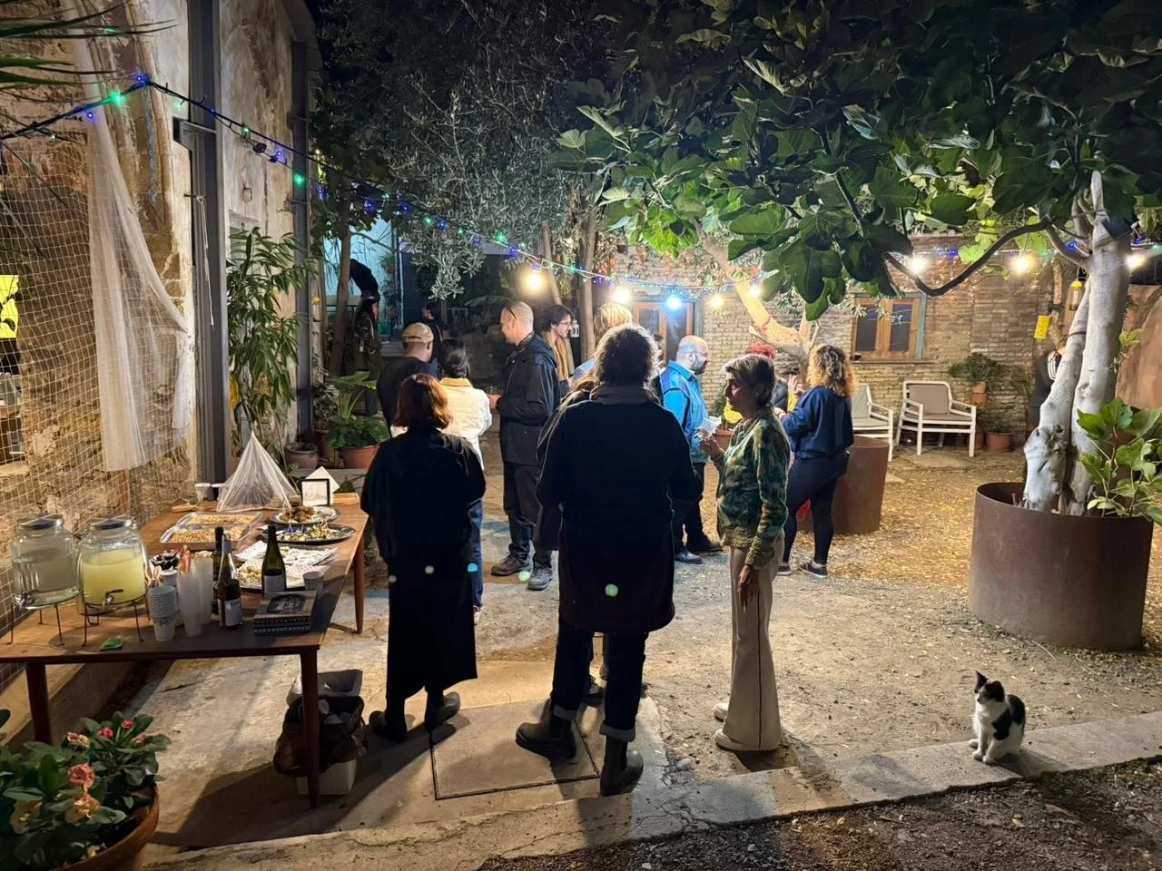 Magnus Tempus 360  Ecoscapes Residency Argyro Toumazo and Halime Eleni Özdemir di Larusso.jpeg