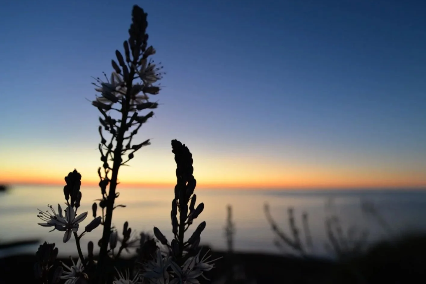 Fed up with AI-generated looped “nature” videos?