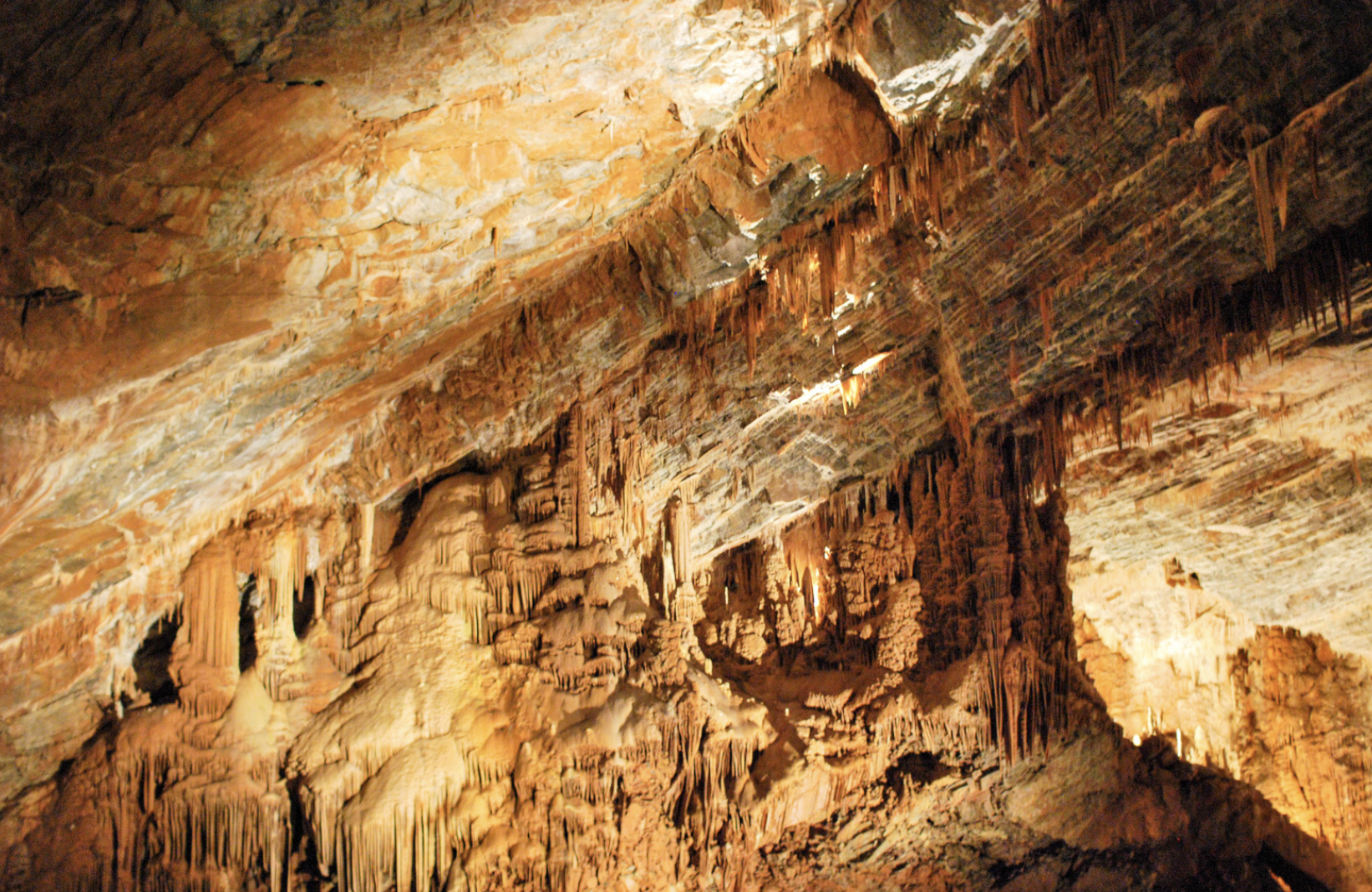 Geheime Schluchten im Herzen des Larzac – Eine Wanderung durch die mystischen Canalettes