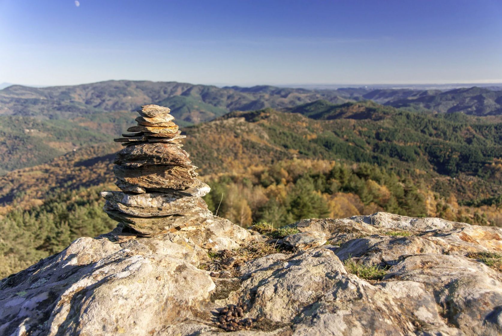Zwei Museen, zwei Perspektiven – was erzählen Cévennes und Camargue über sich selbst?