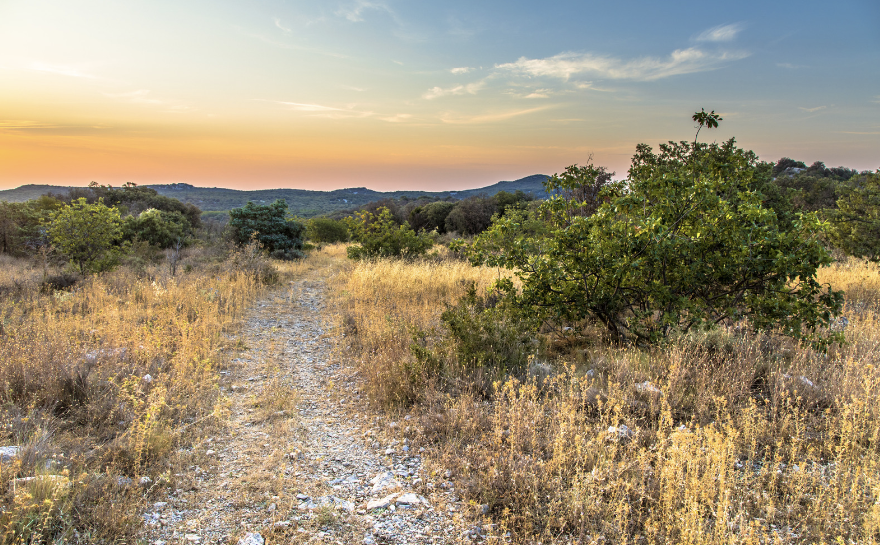Die besten Begleiter für Ihre Wanderung – Apps und Tipps für unterwegs