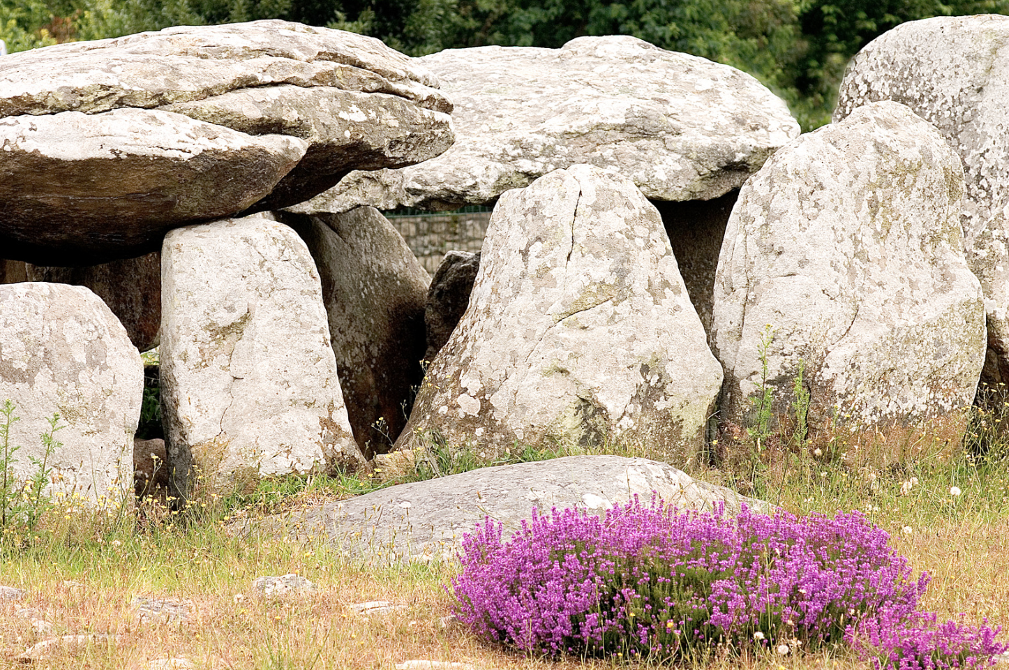 Dieser Stuhl soll Wunder heilen – Mythos, Legende oder vergessene Tradition?