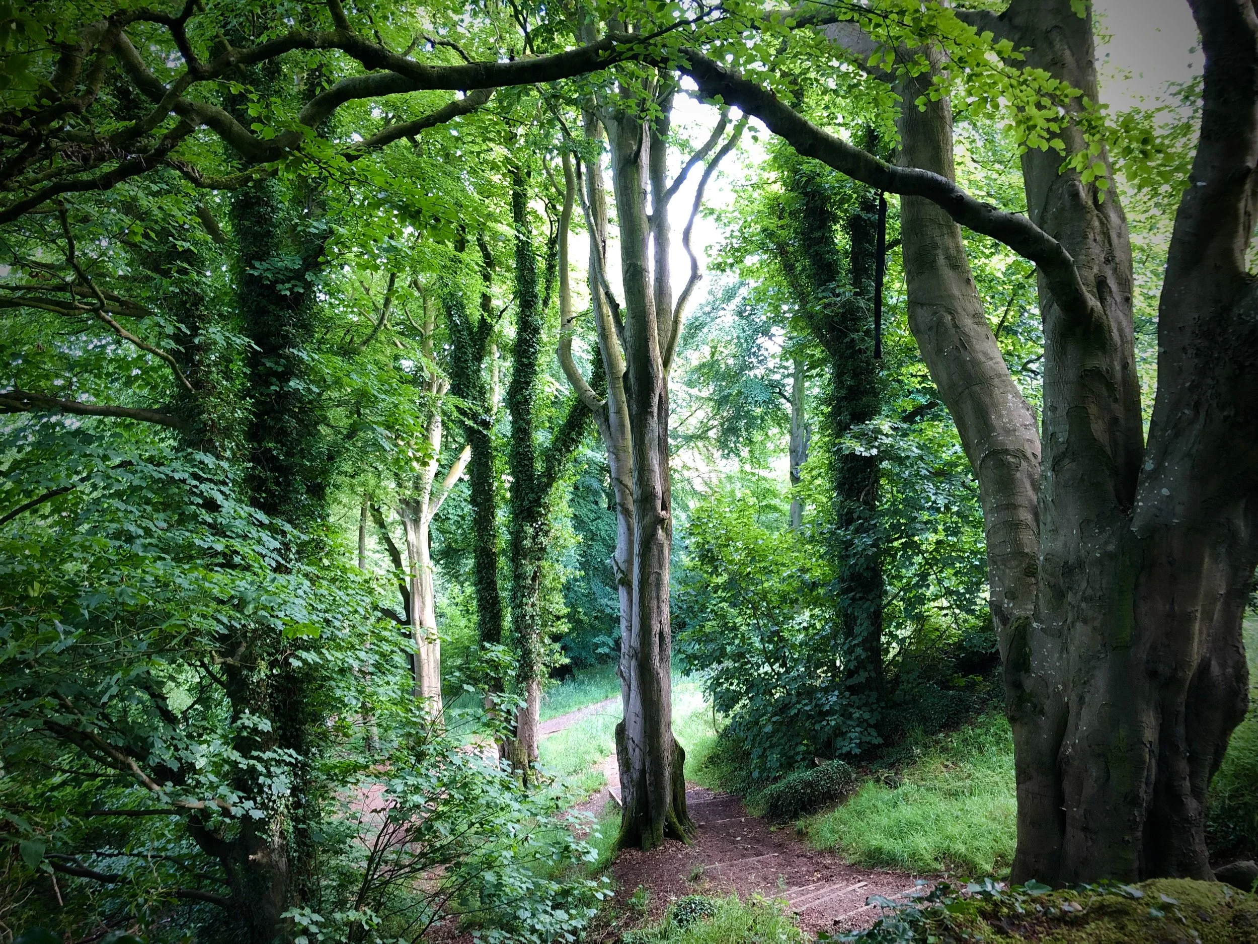 How it Was Supposed to be