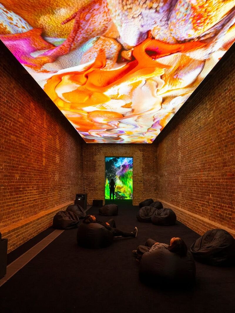 When Data Dreams of Nature