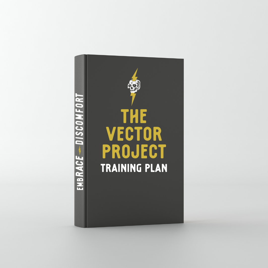 vector project mockup.png